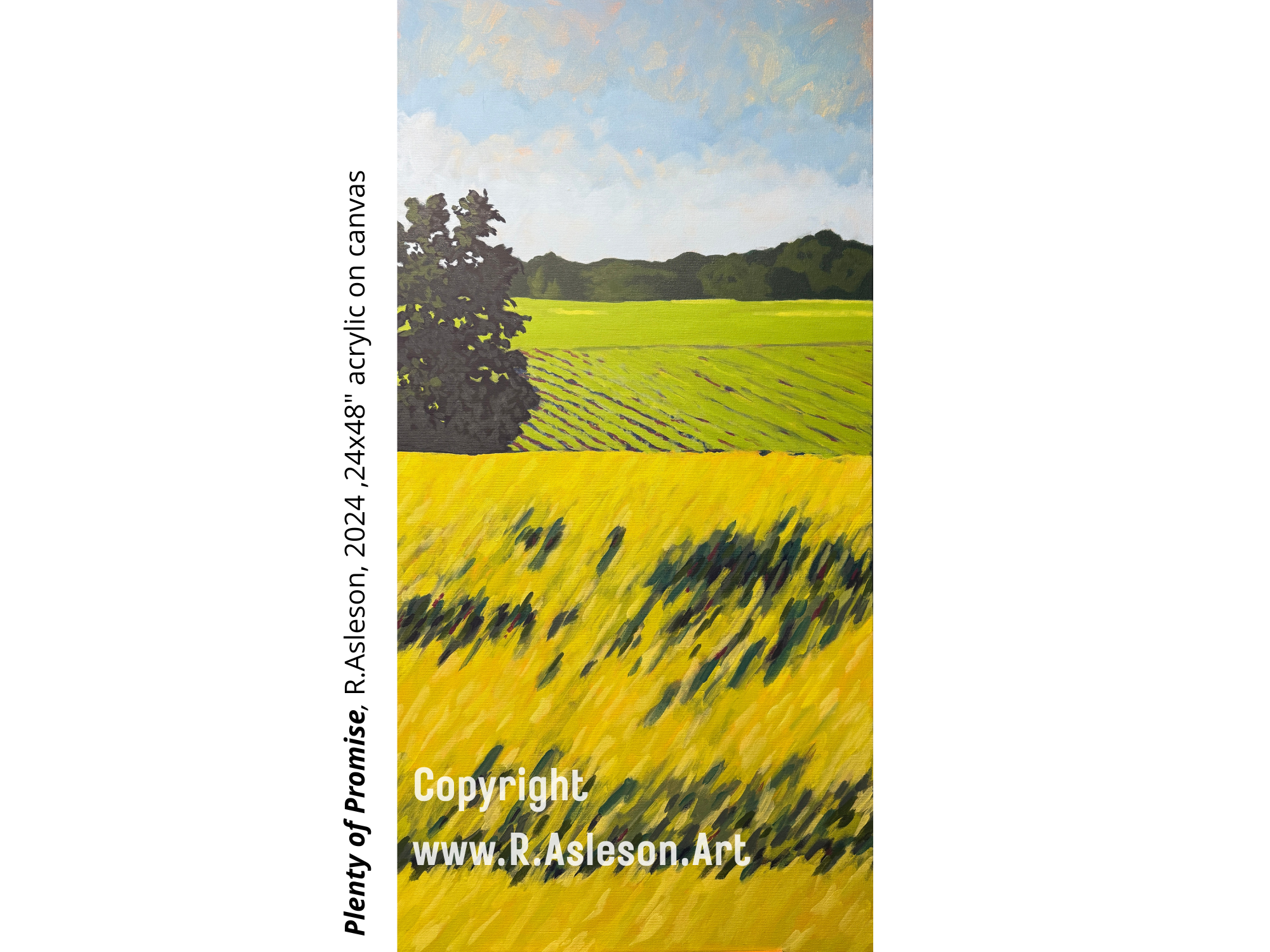 2025.009 Plenty of Promise 24x48 inches, acrylic on canvas ($1,200)
Plenty of Promise explores the tension between colonial views of land as commodity and a more reciprocal, relational understanding of the earth. The structured fields above contrasts