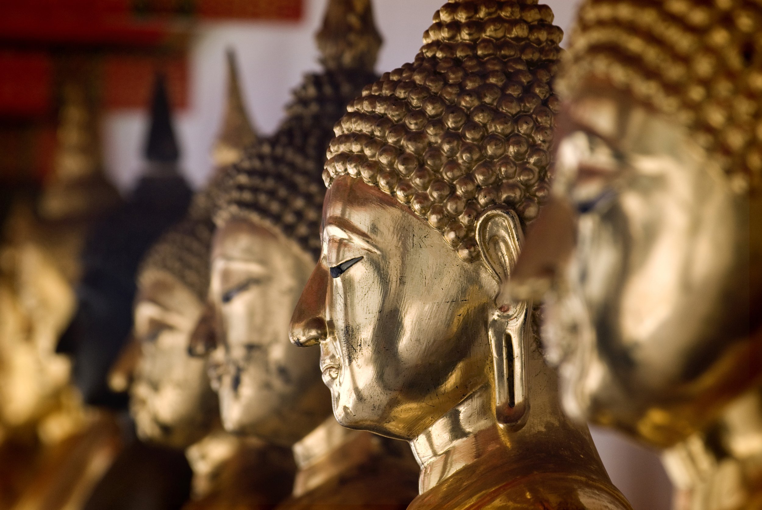 Thailand Wat Pho Buddhas Row.jpg