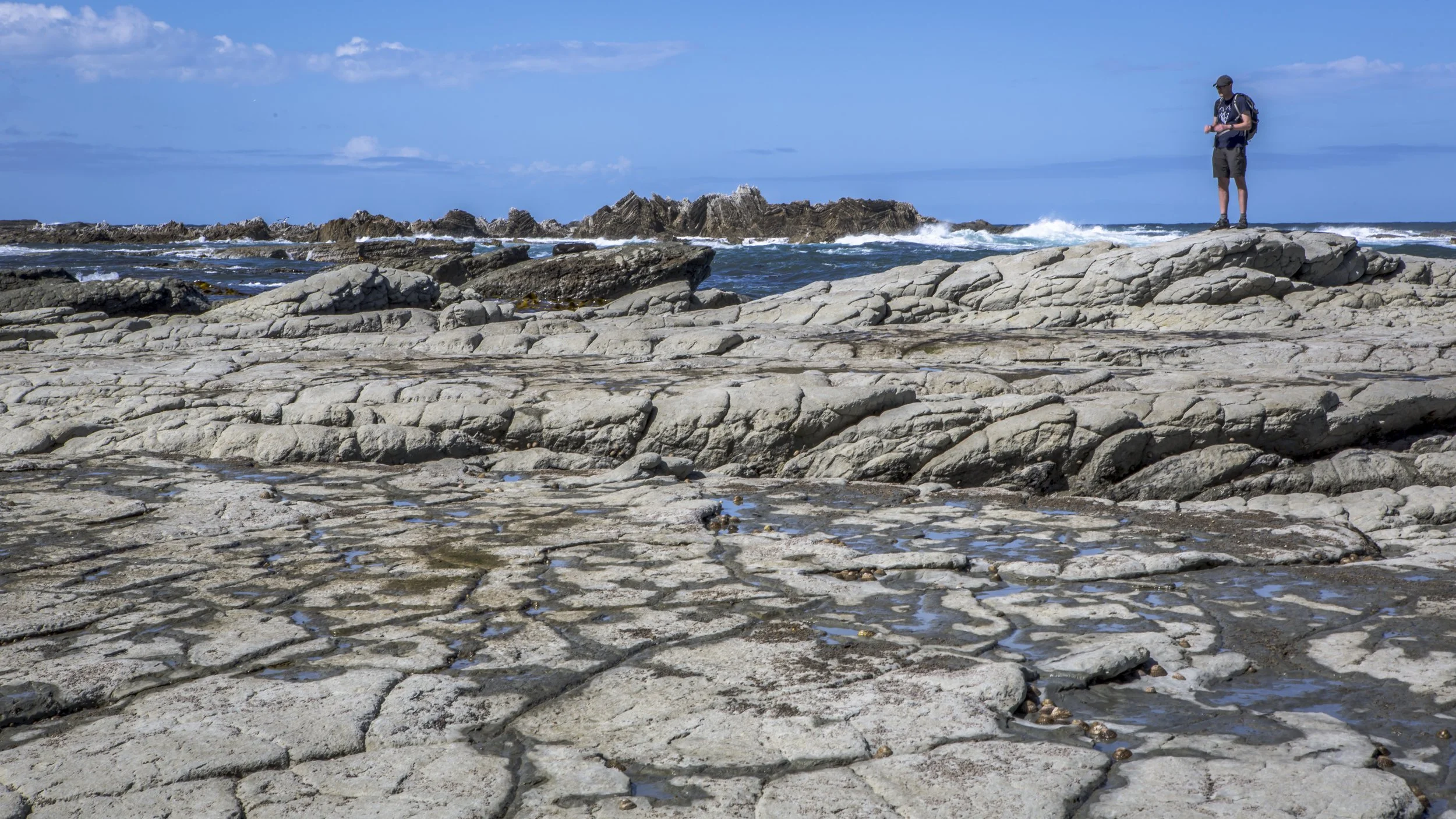 GAdventures-New Zealand-Kaikoura-2014-0W3A1262.jpg