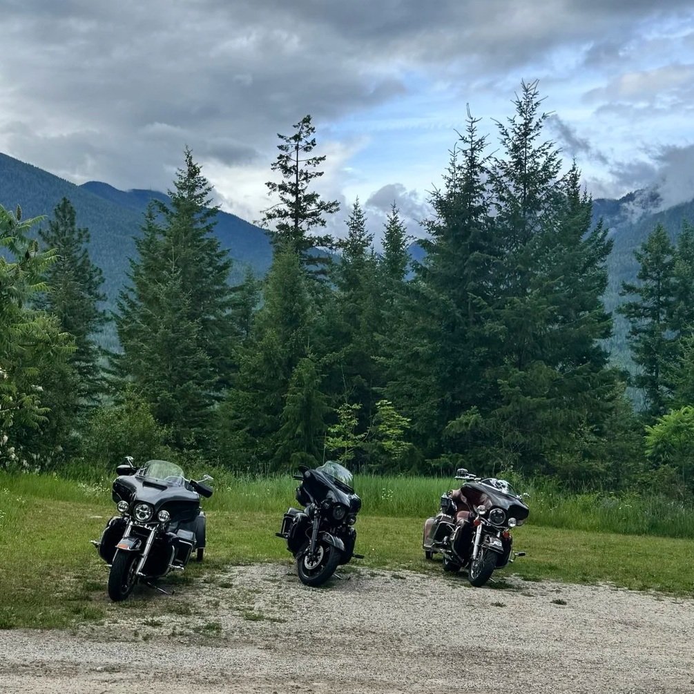 Three motorcycles parked on a gravel area in front of a lush green forest with tall pine trees and mountains in the background under a cloudy sky.   Throttle Therapy trip vibes.