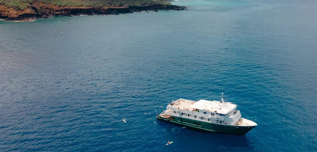 A large white and green yacht anchored in a deep blue ocean near a green shoreline with trees.