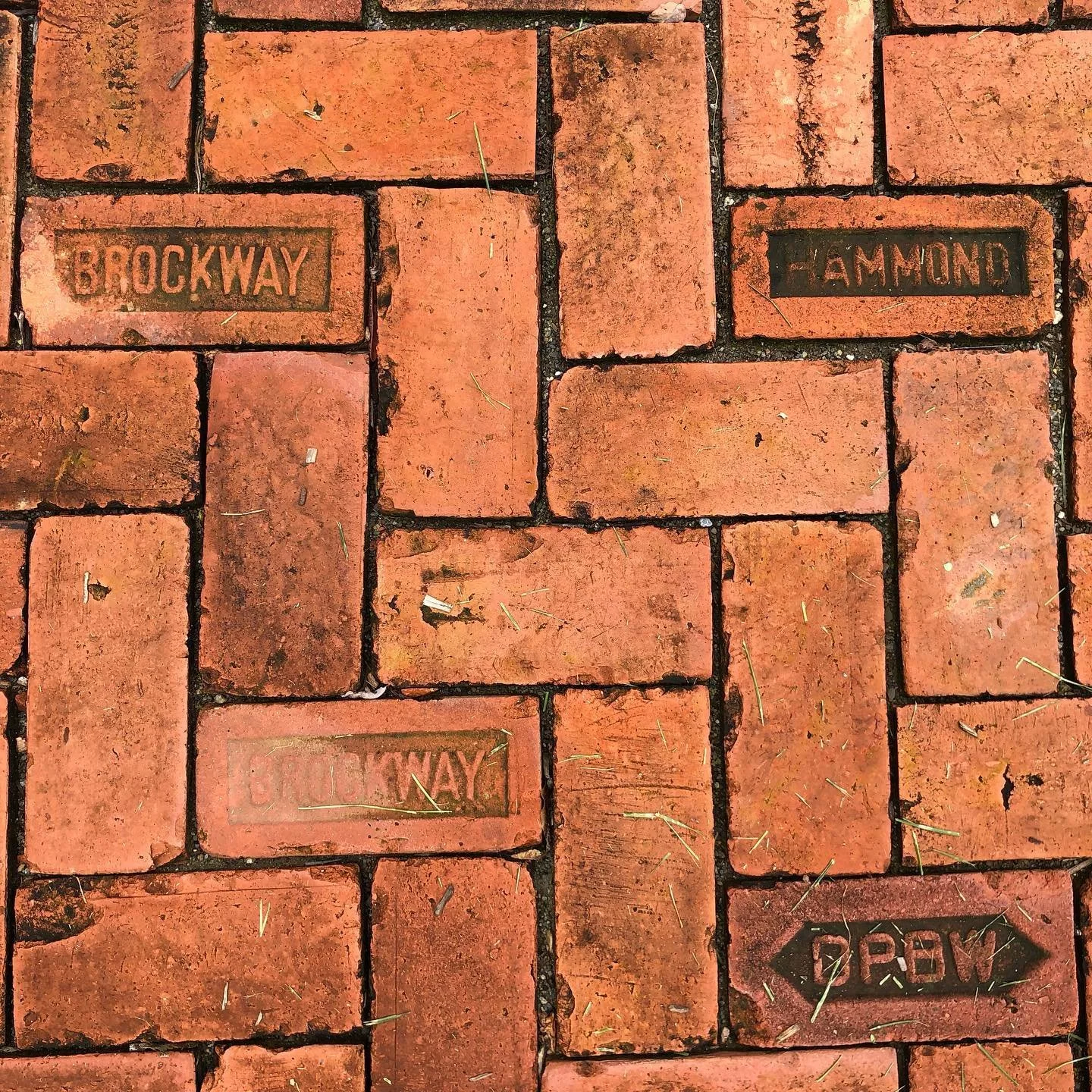 The Brickyards that Built New York City