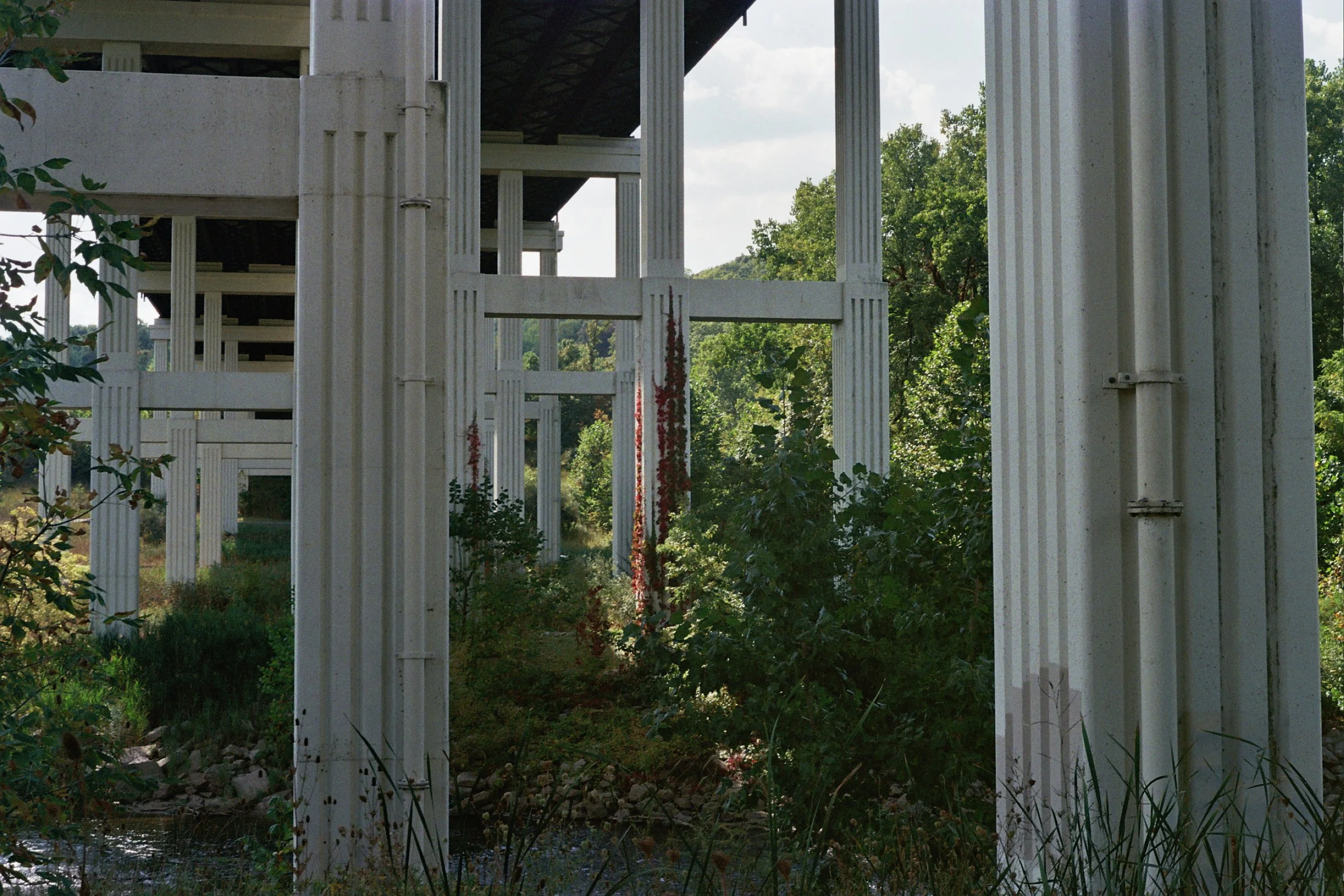 __3_1226 copy.jpg