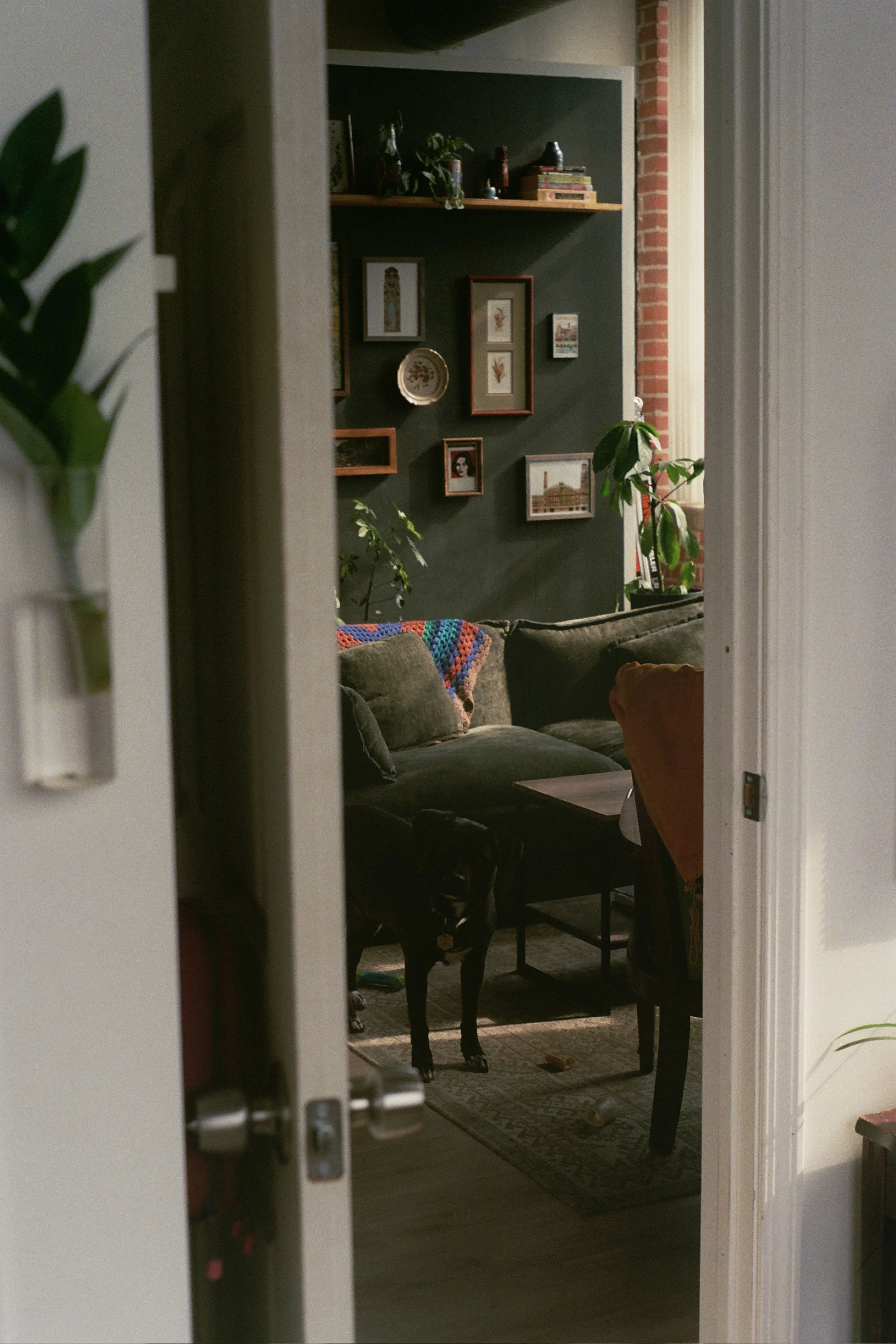 36A_0478.jpg