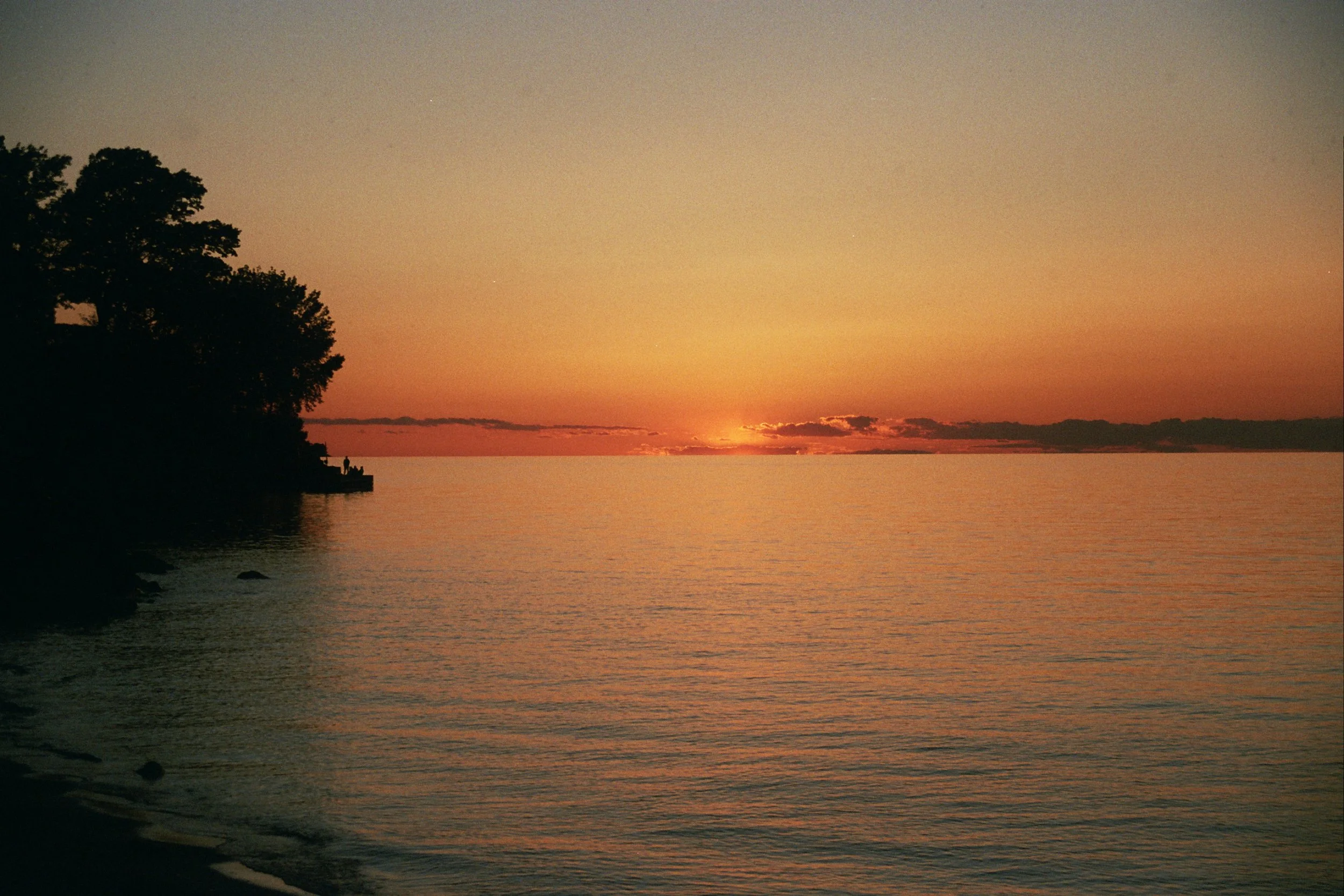 24A_1695 copy.jpg