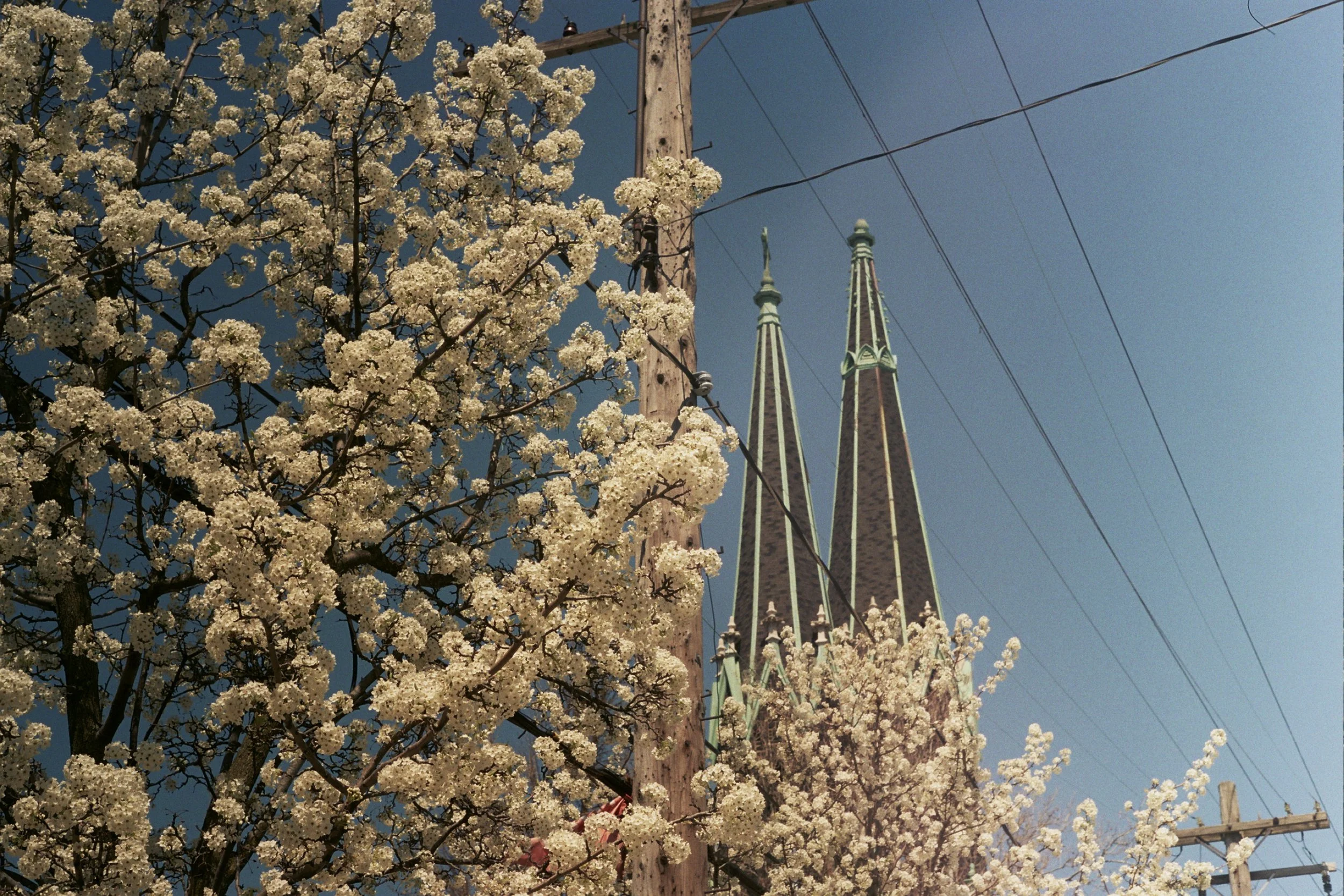 24A_0466.jpg