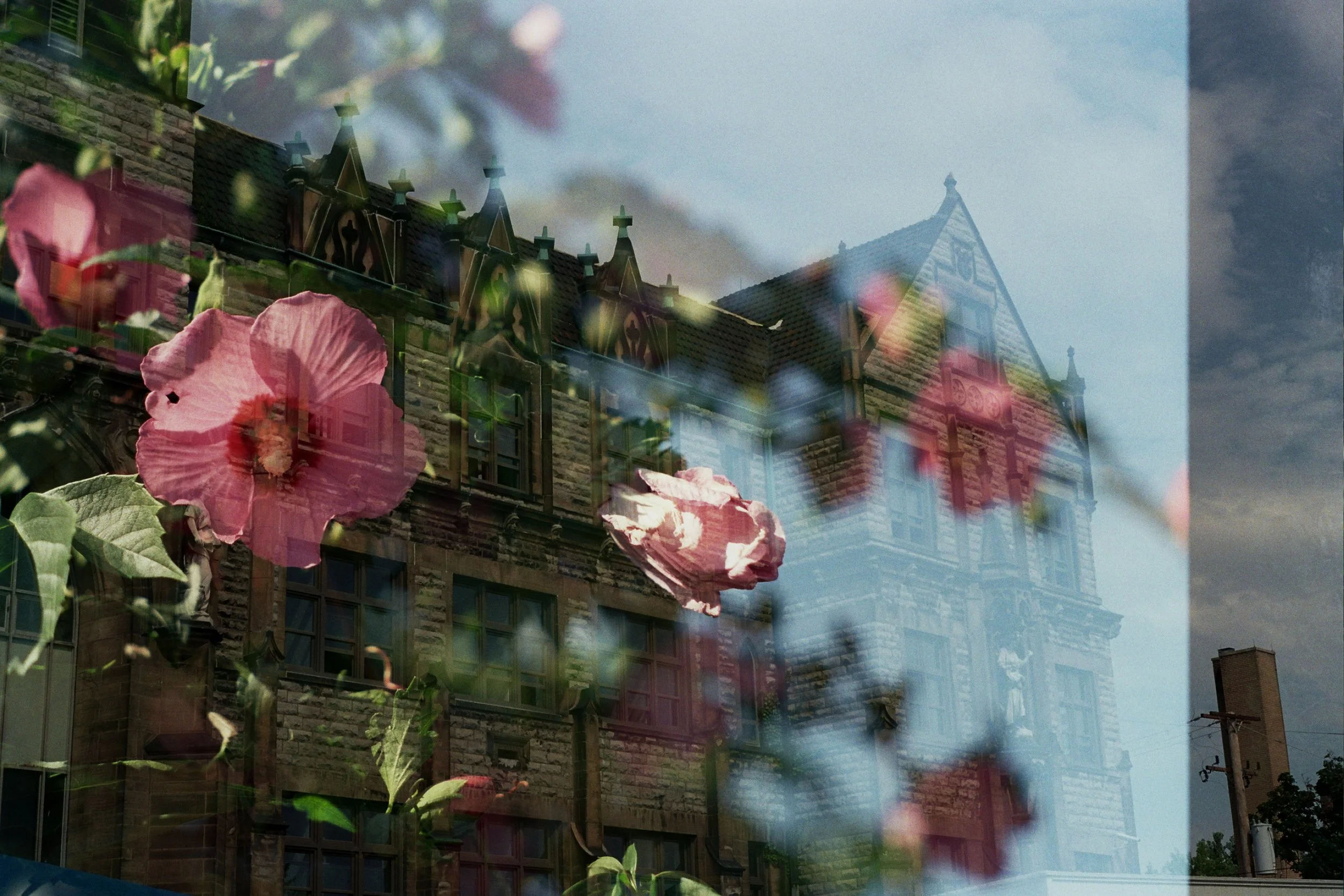 14A_0873 copy.jpg