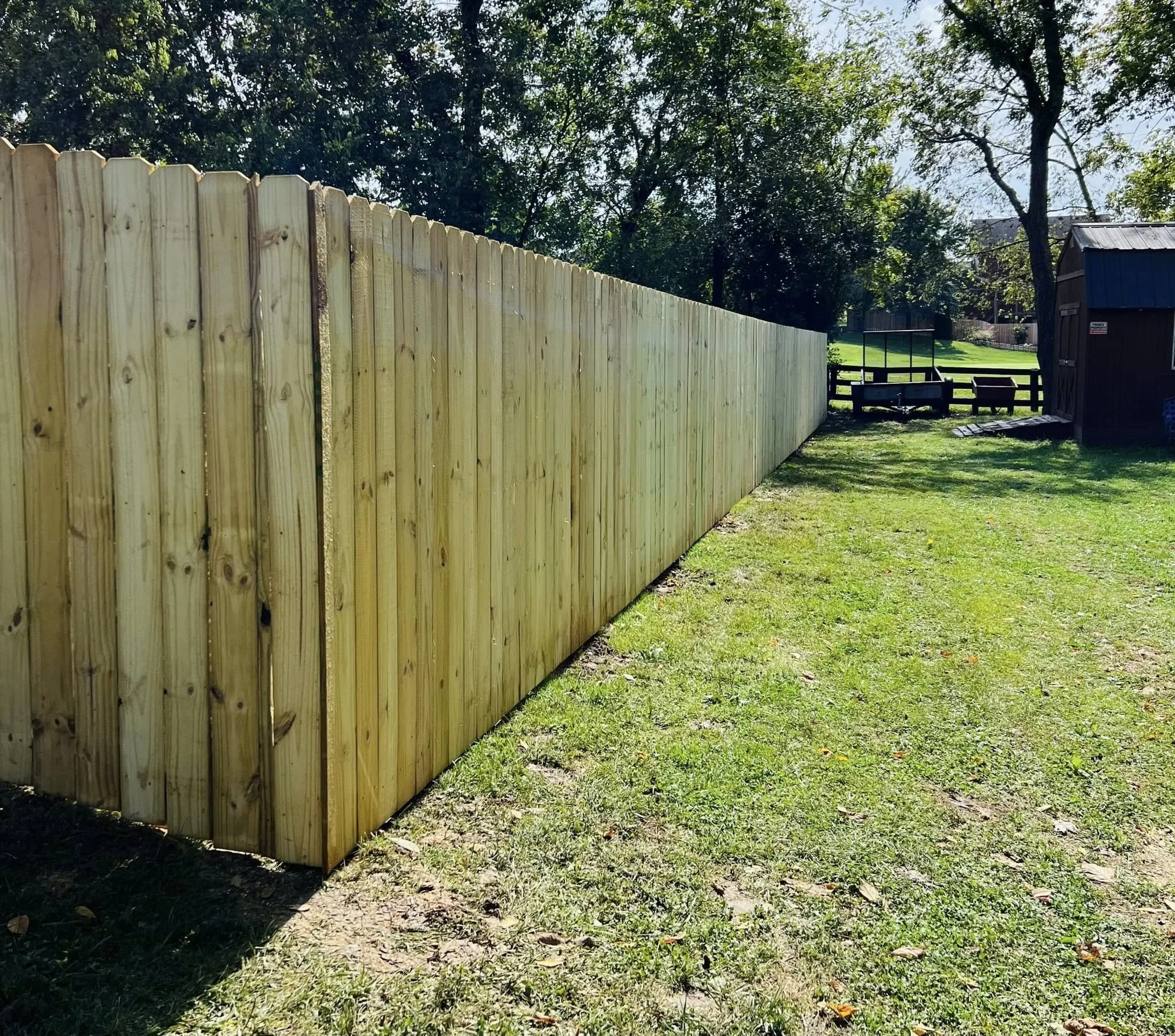 A wooden fence runs along a sunny yard with green grass and trees in the background.