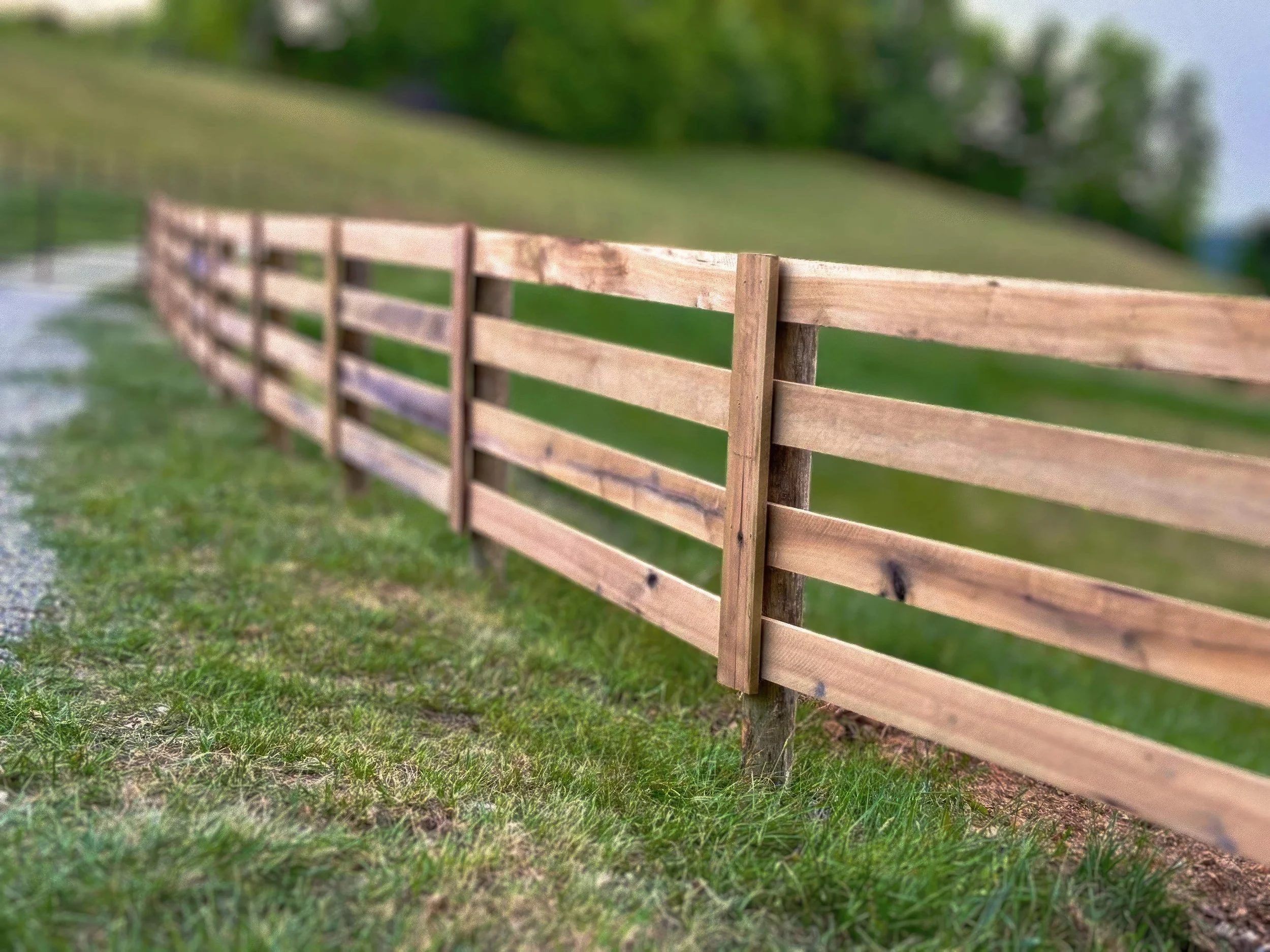 Wooden fence along a grassy area with trees and blue sky in the background.