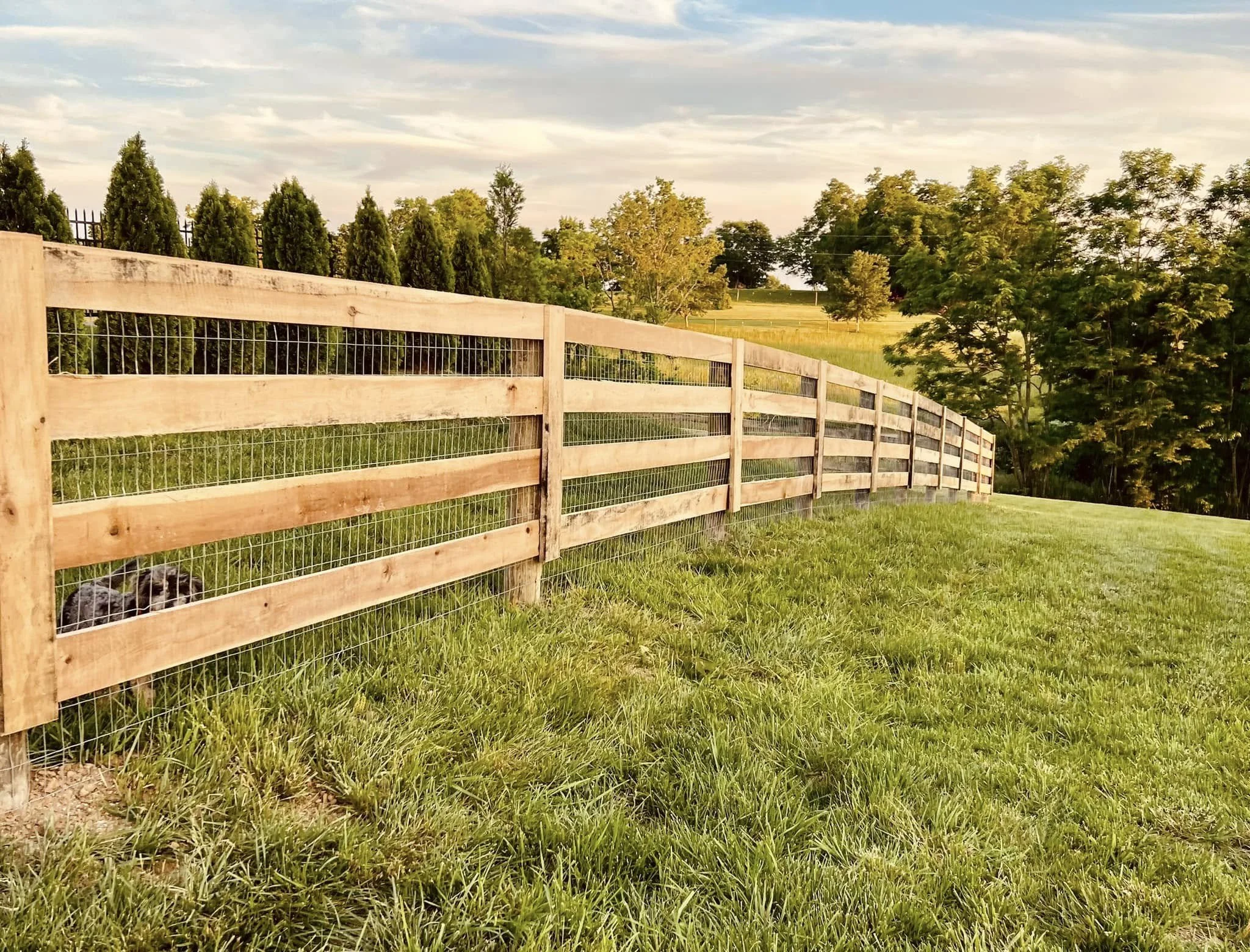 A wooden and wire fence along a grassy field with trees in the background under a partly cloudy sky.