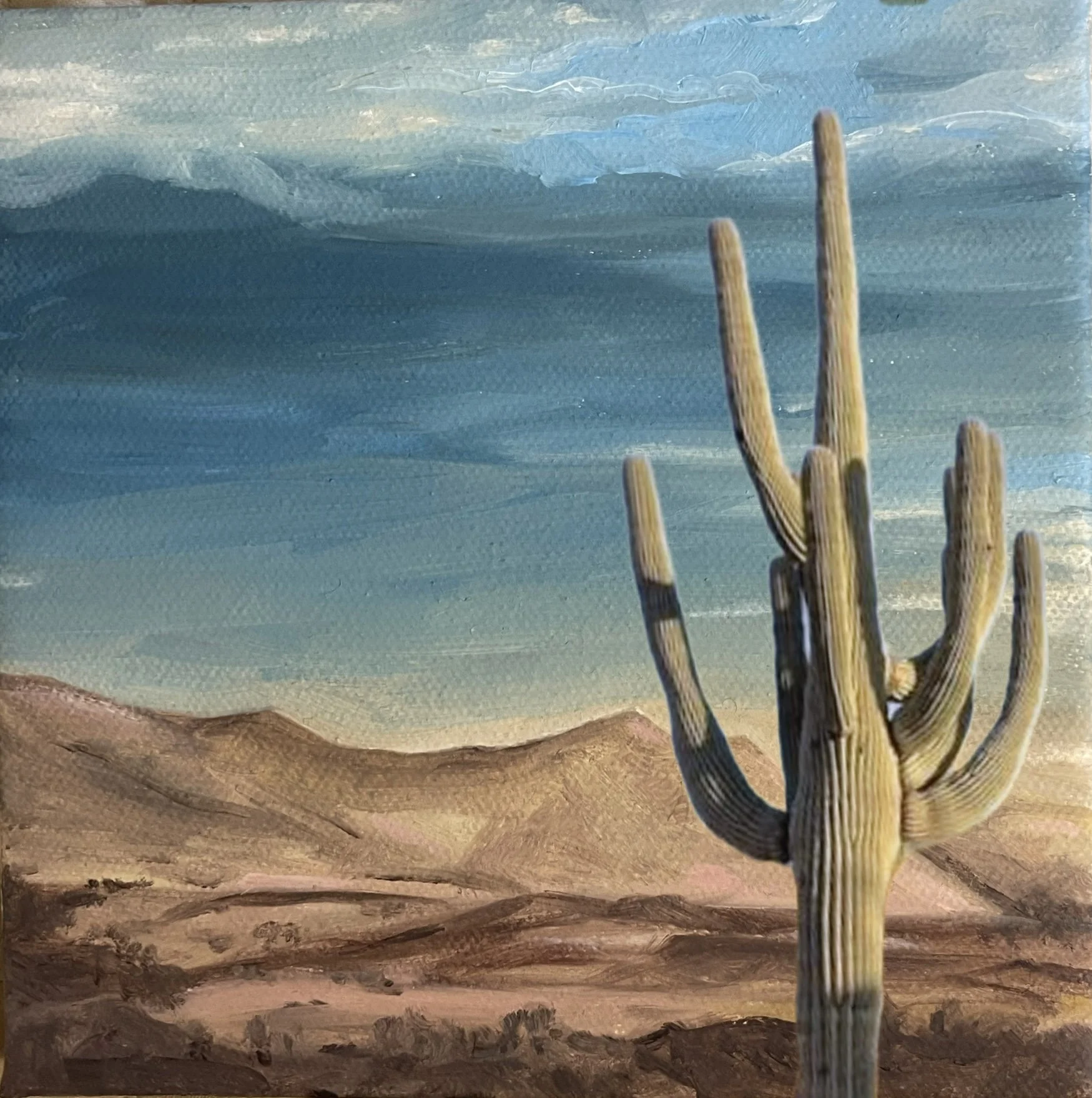 MAD DESERT SAGUARO VIEW wip