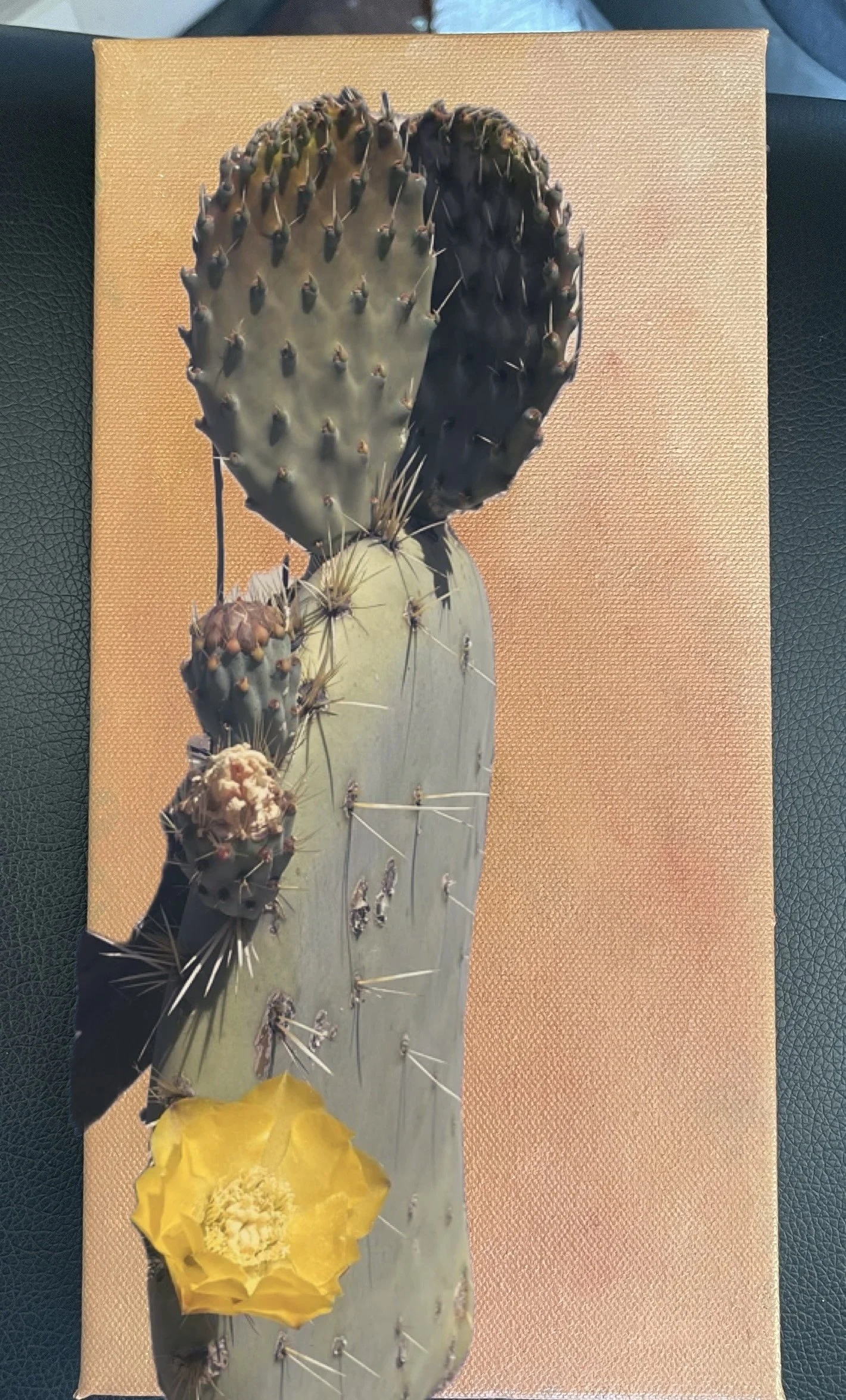 PRICKLY PEAR GOLD wip