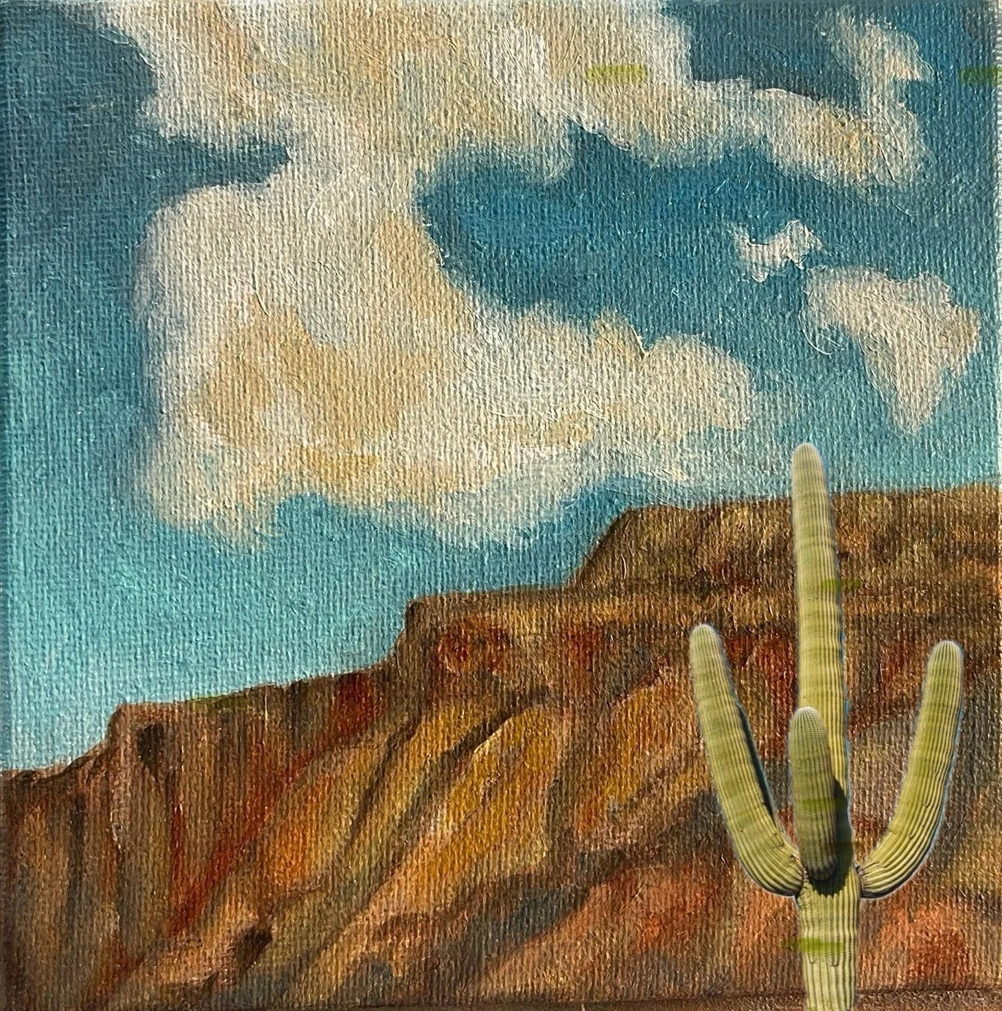 ARIZONA MESA SAGUARO