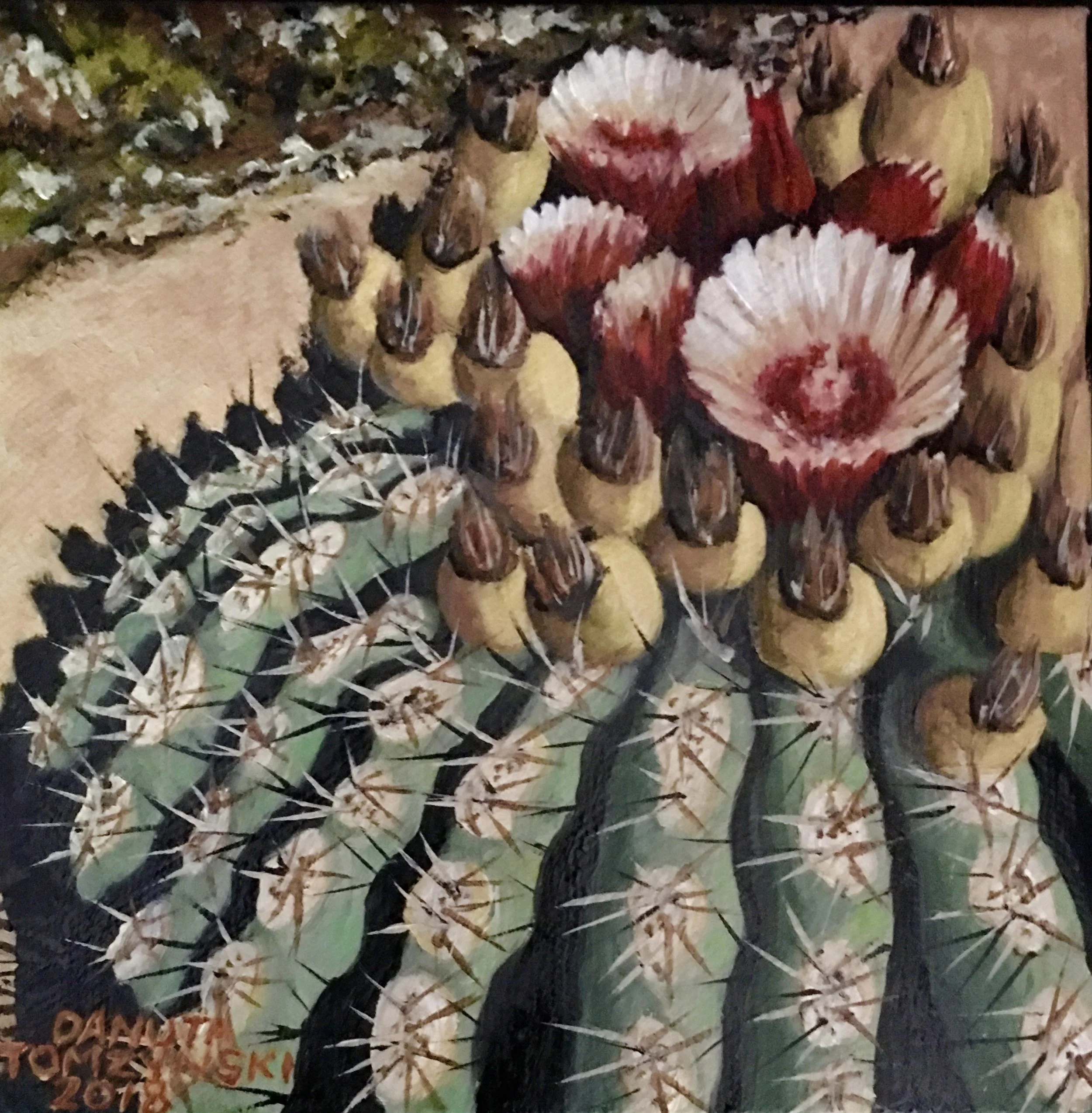 BARRELL CACTUS BLOOM