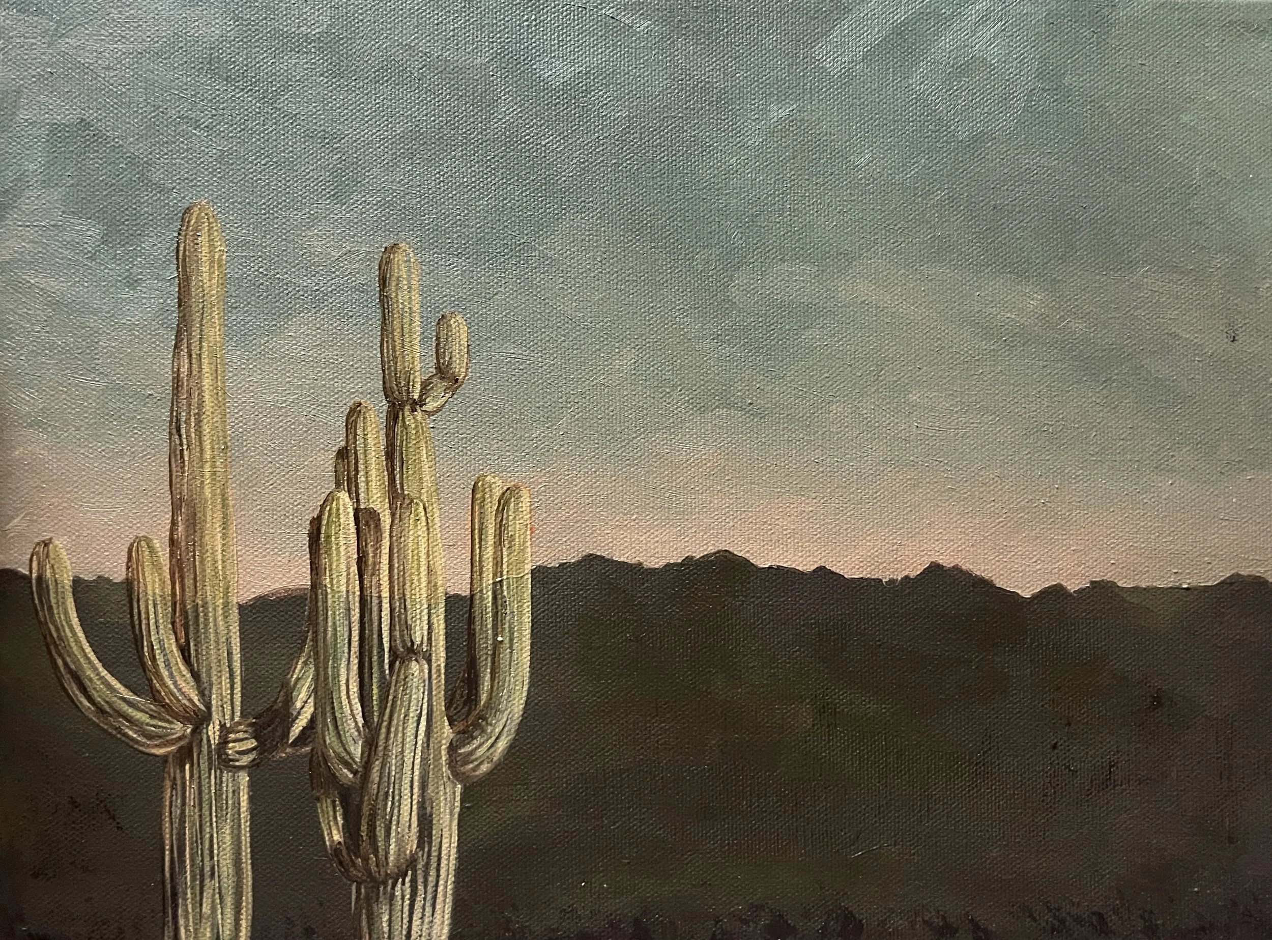 SAGUARO AT DUSK