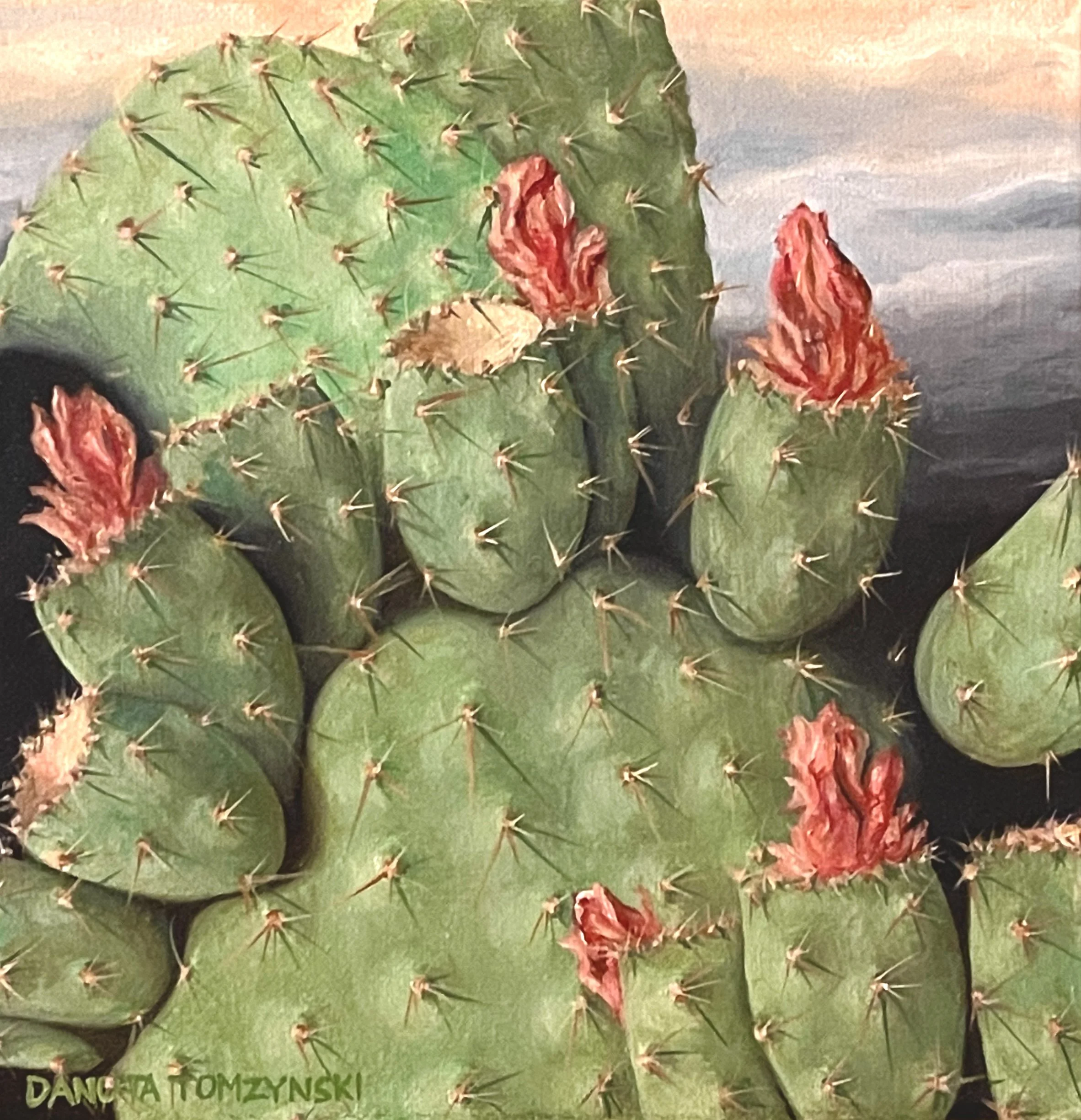 PRICKLEY PEAR SUNDOWN