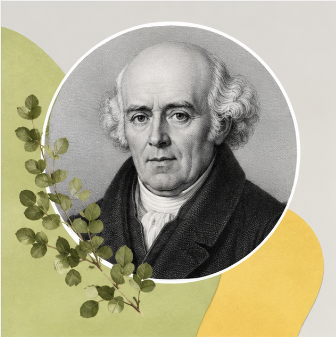 The History of Homeopathy: From Samuel Hahnemann to Today