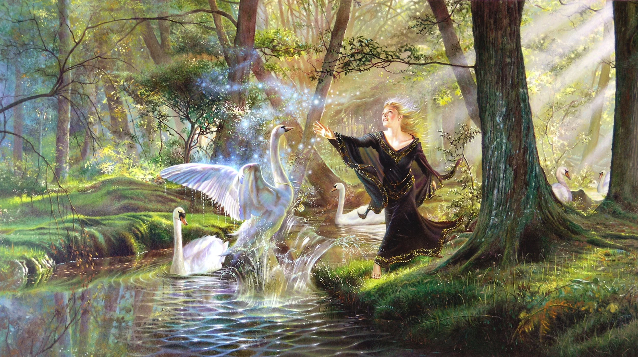 The Black Swan
Oil on Board 22x33
The book black swan..
$5000