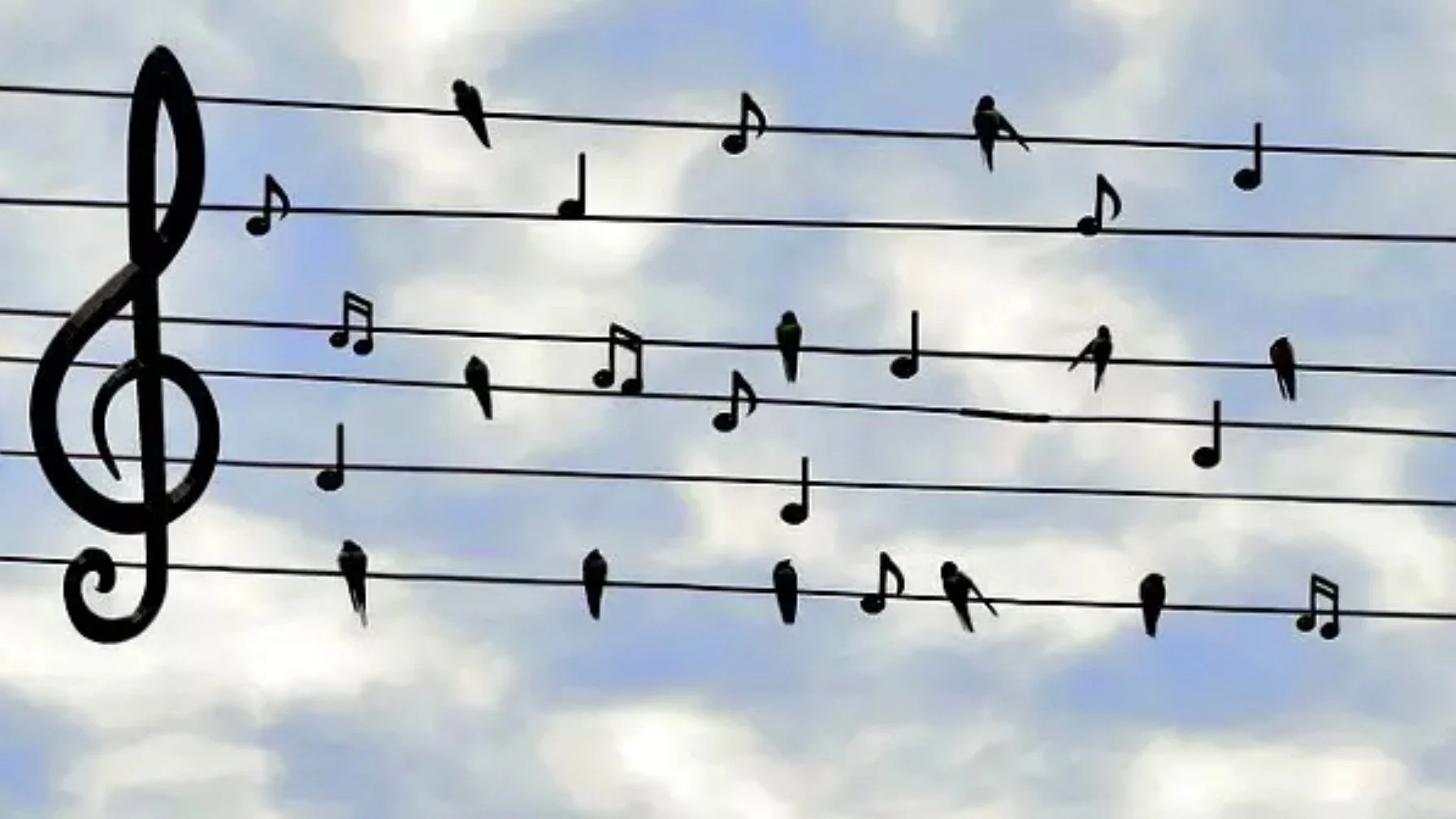 Silhouette of a musical staff with a treble clef and various musical notes, birds are perched on the lines, set against a cloudy sky.