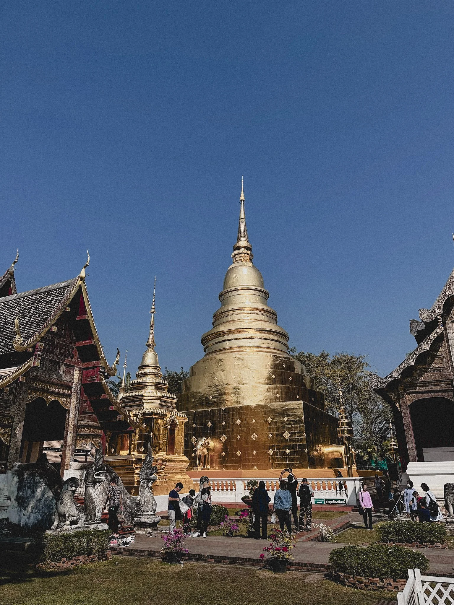 Chiang Mai Solo Guide