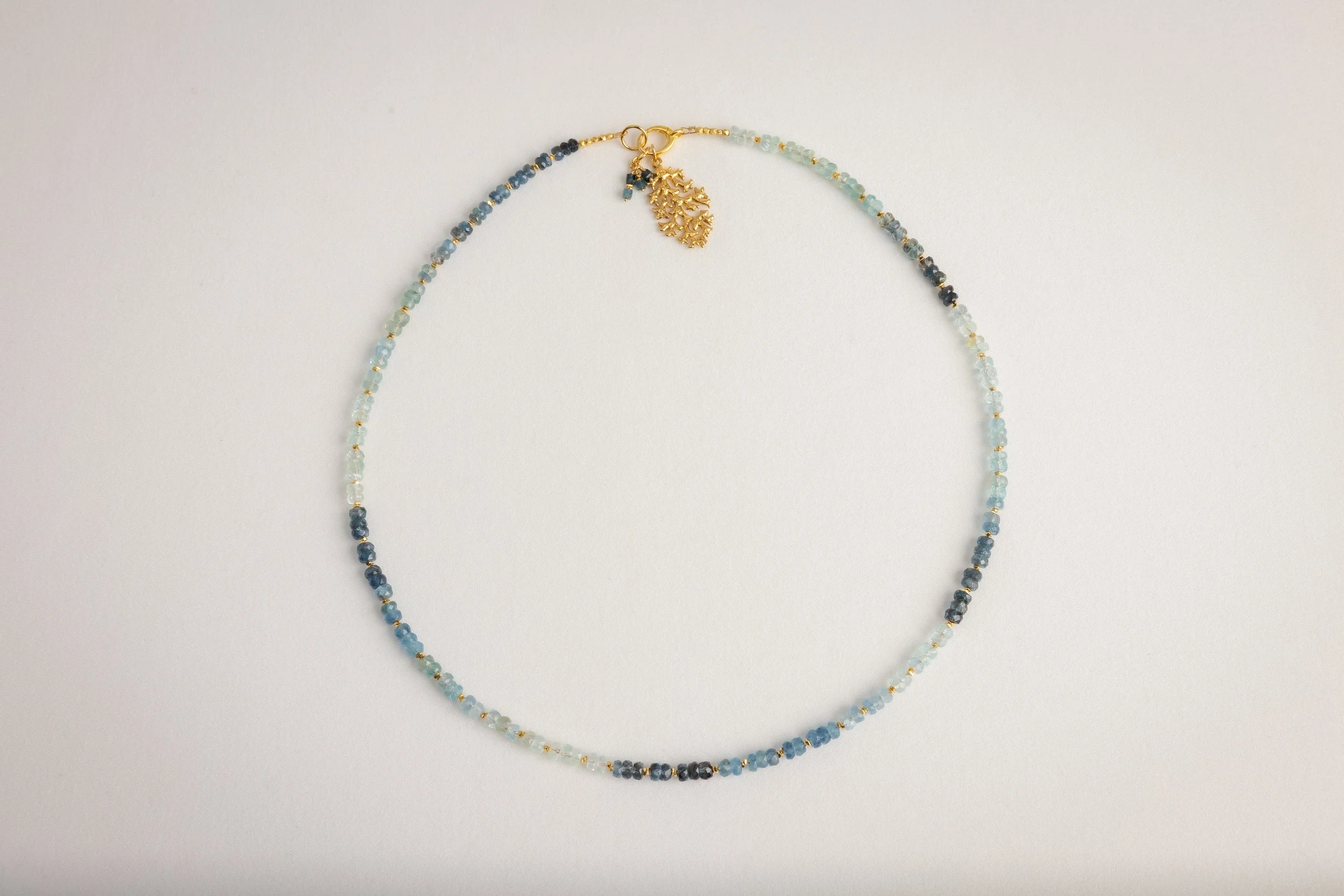 Shaded Kyanite with Gold Coral Charm