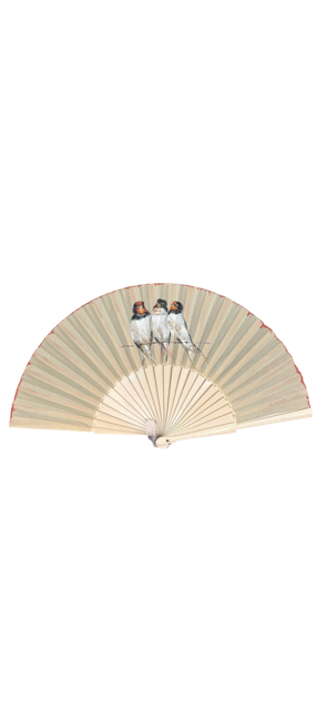 Photoroom_20260525_153149.PNG