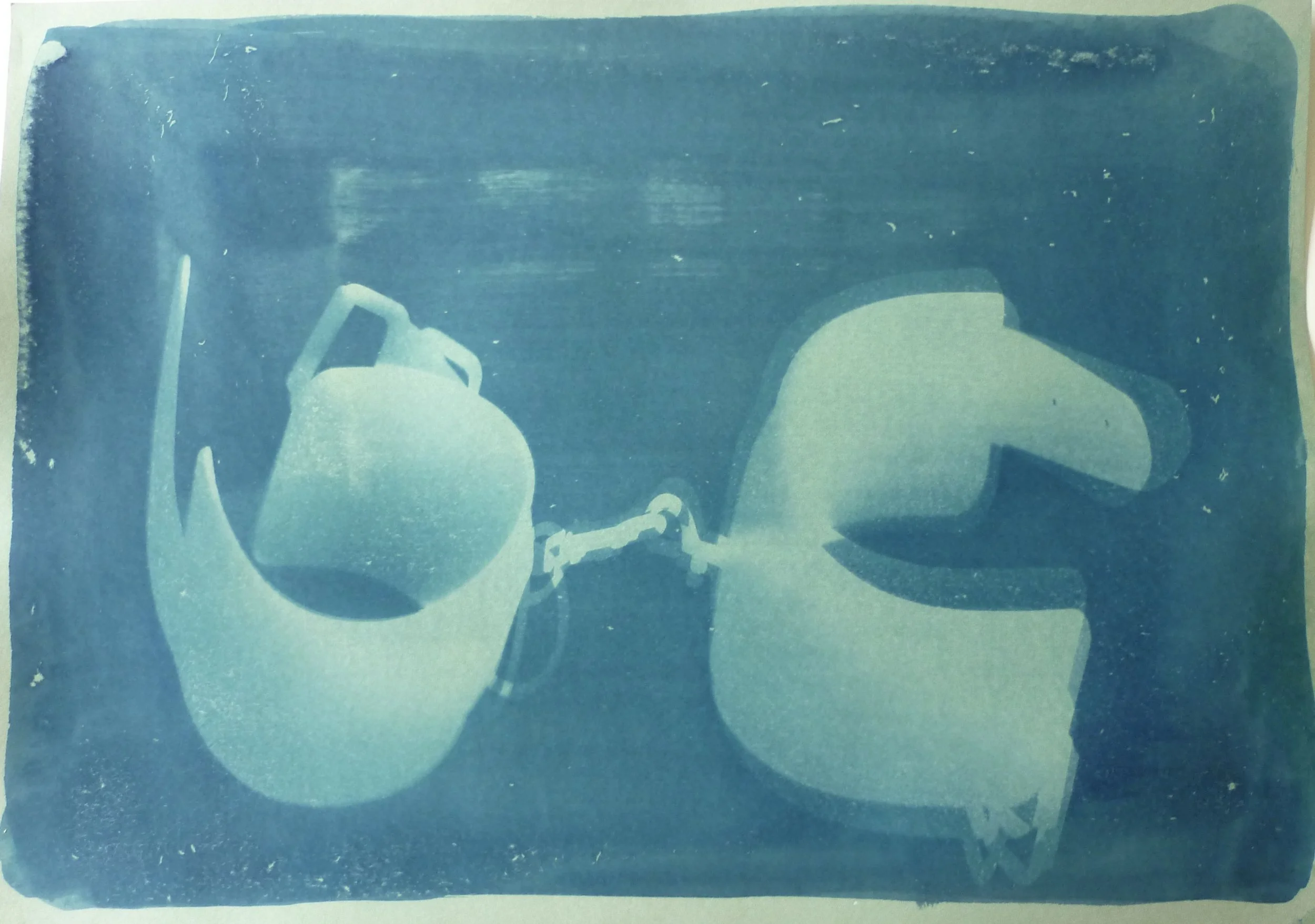Cyanotype Project 001