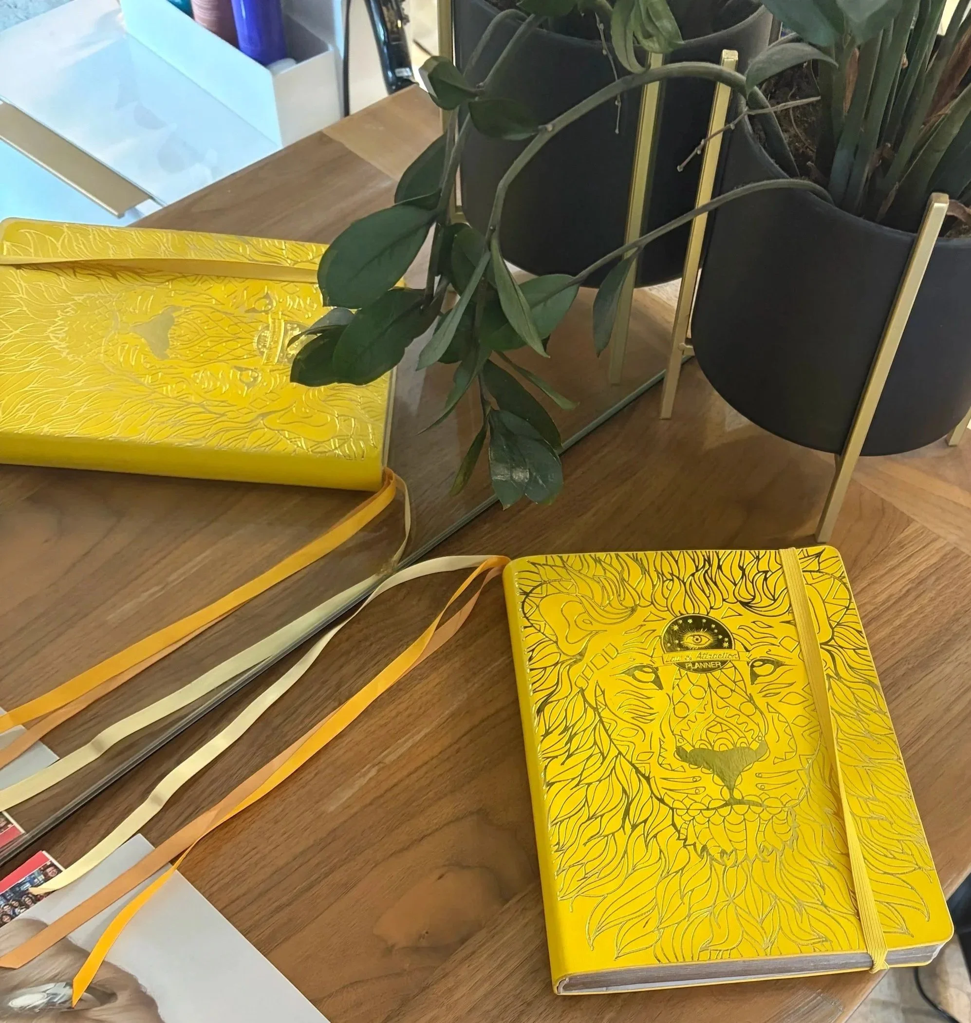 Yellow planner with black illustrations of a sun, moon, and eye, placed on a wooden desk alongside a potted plant with dark green leaves.
