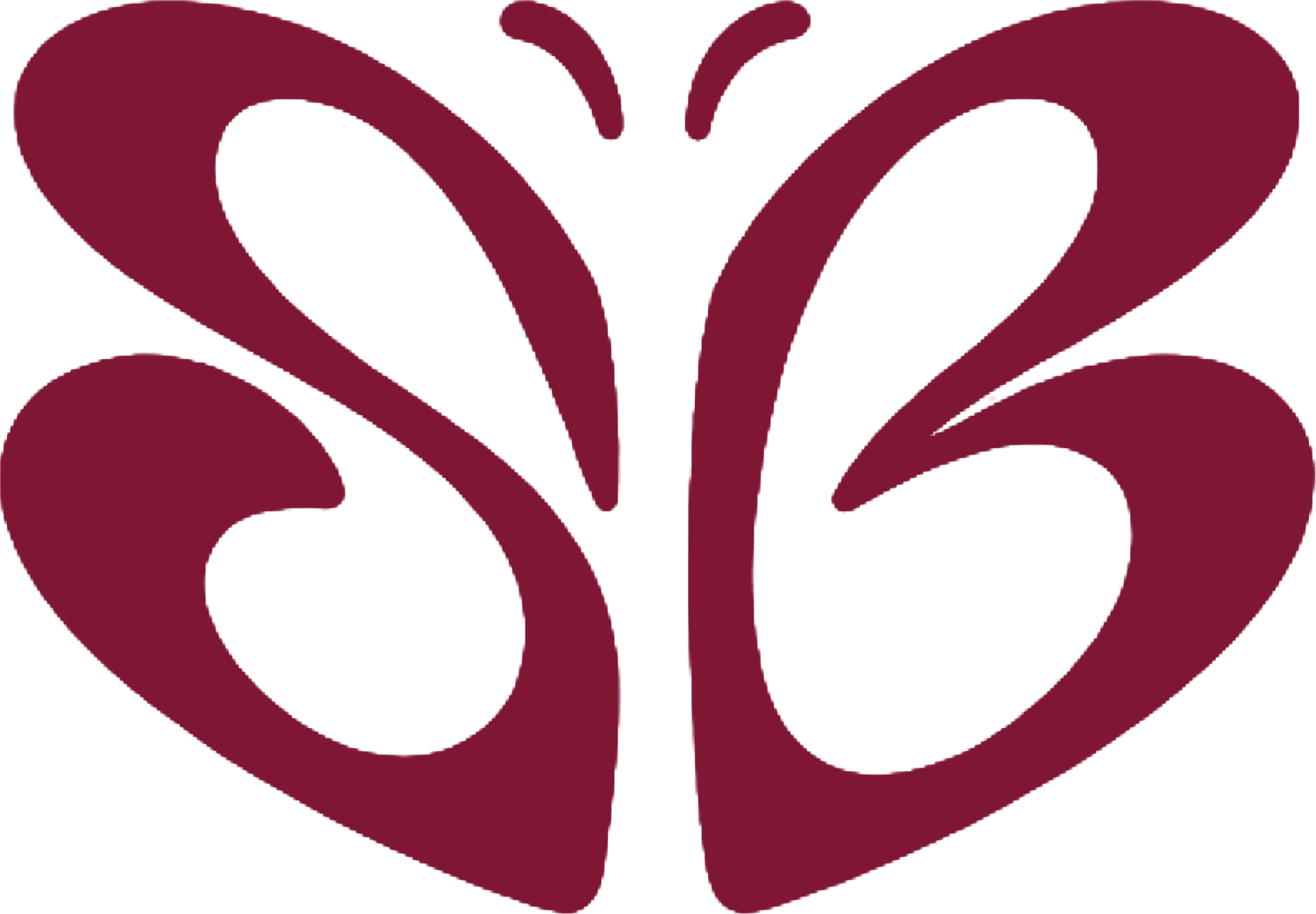 social butterfly