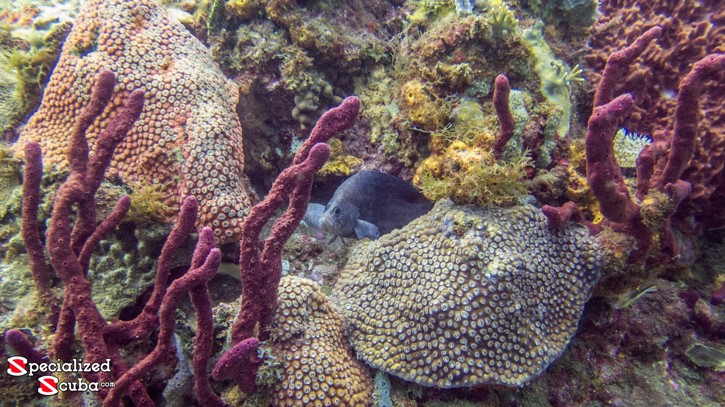 20150625-IMG_2004.jpg