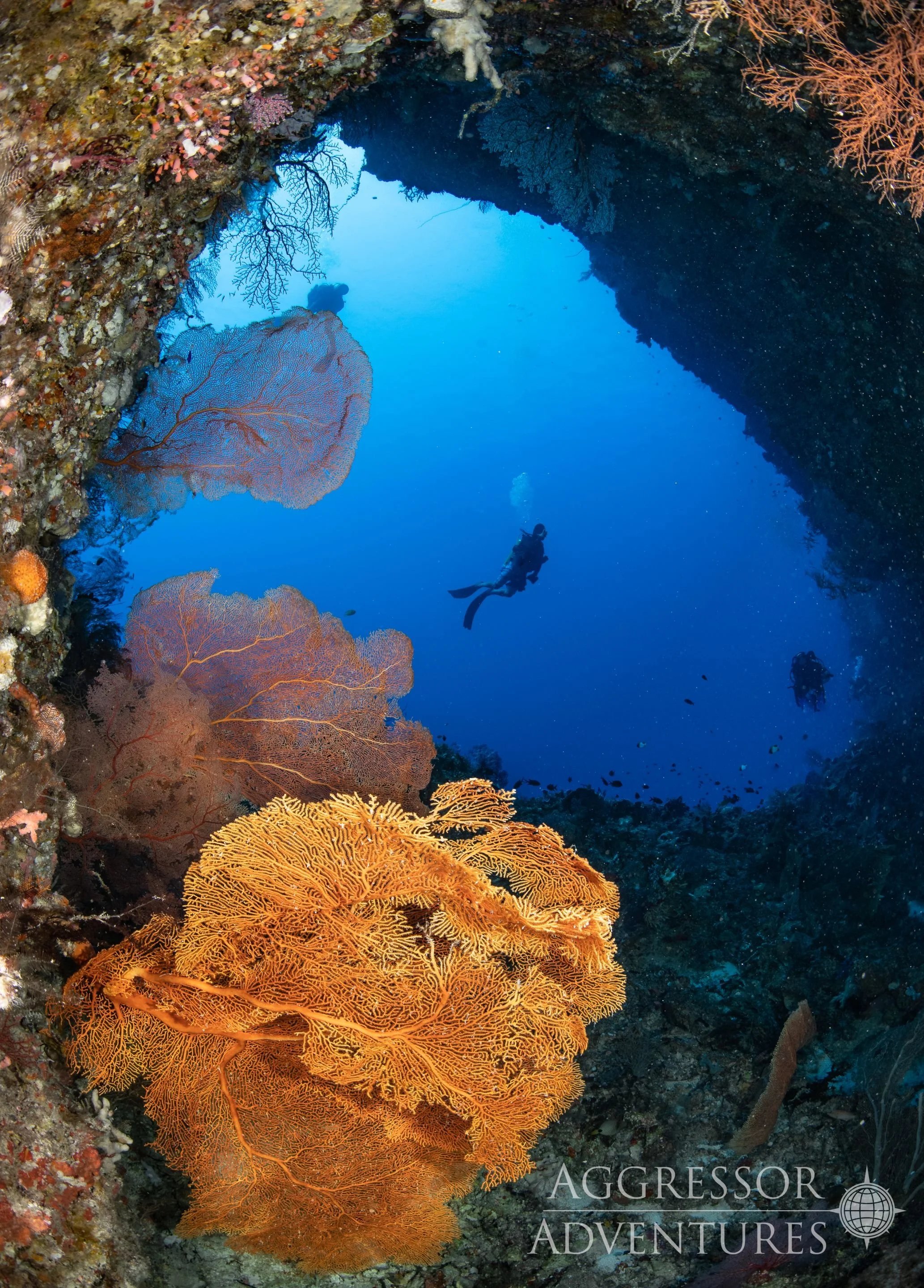 Palau-Hatter7-1.jpg