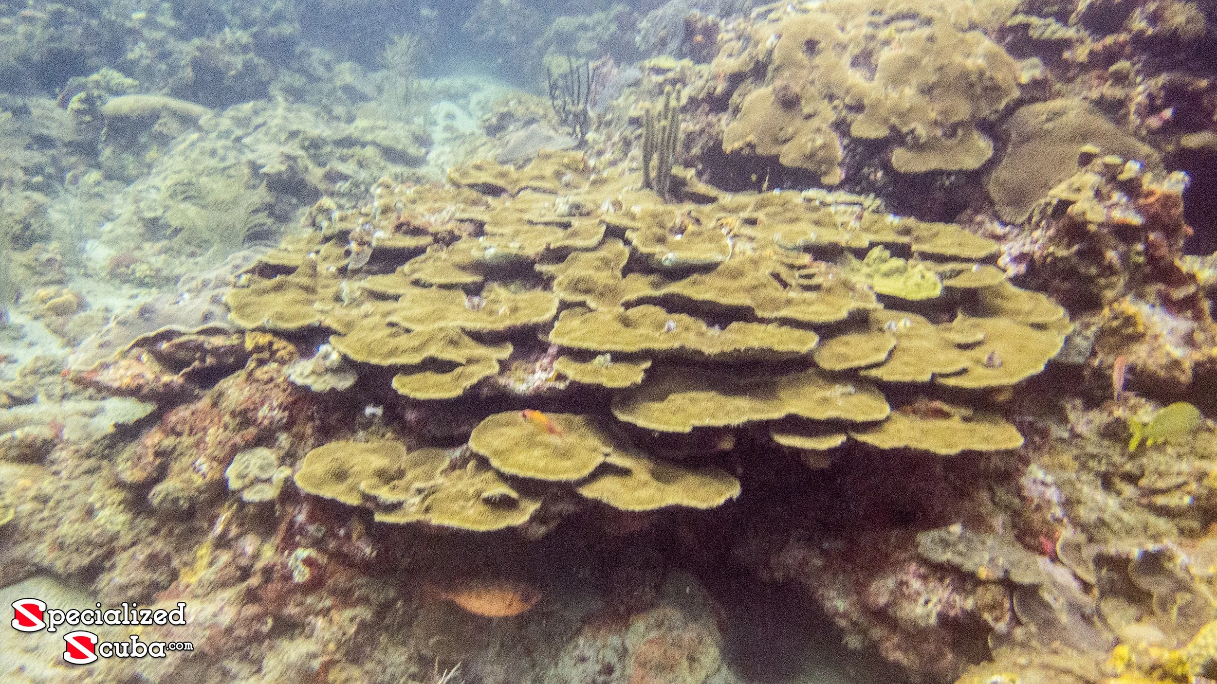 20150626-IMG_2368.jpg