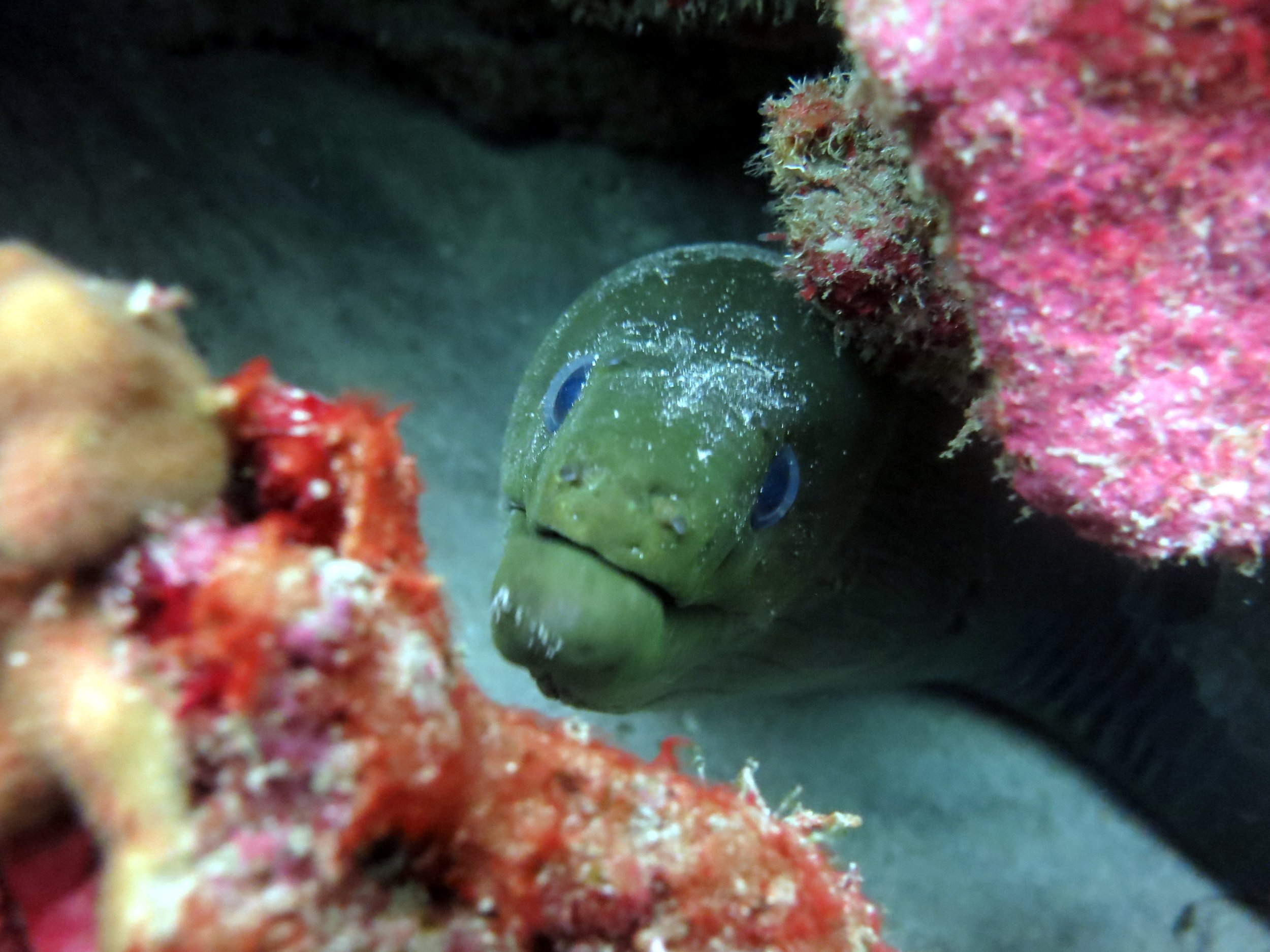 IMG_9770ps.jpg