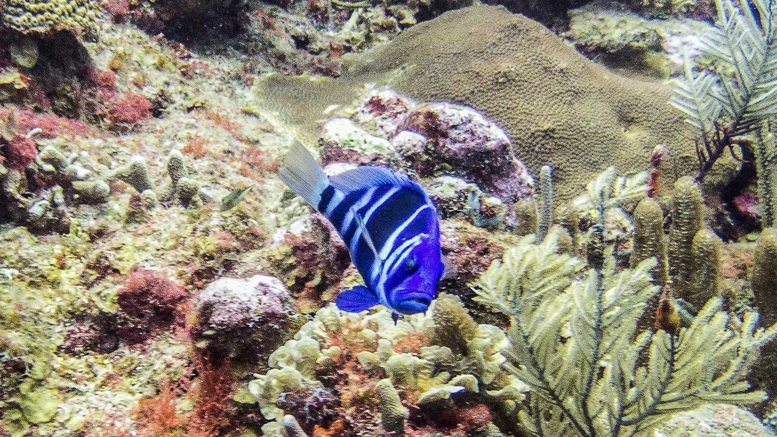 Location: Belize, Esmerelda
