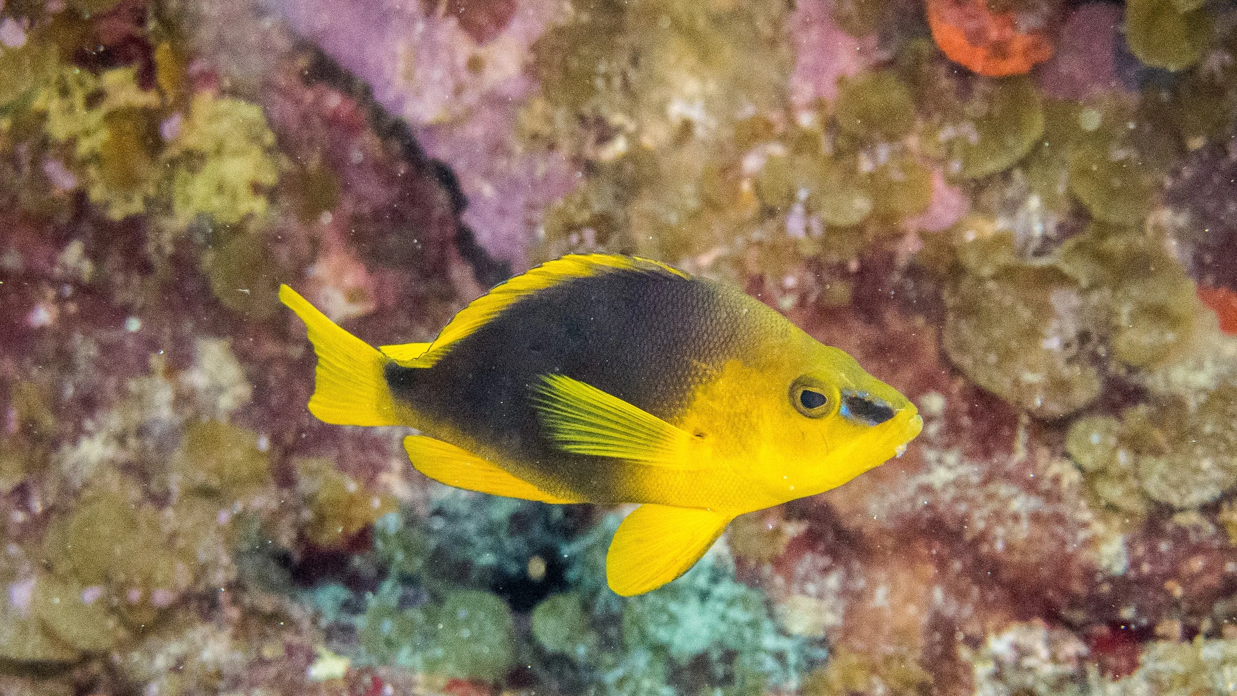 Location: BVI, Rainbow Canyons 
