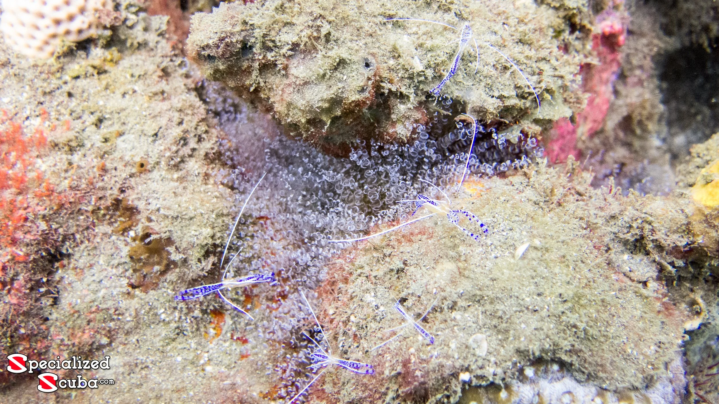 20150625-IMG_0145.jpg