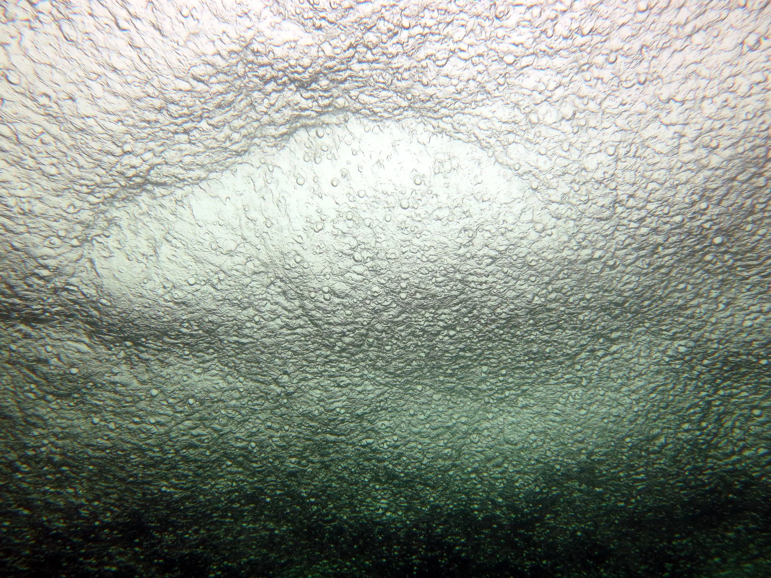 IMG_9855ps.jpg