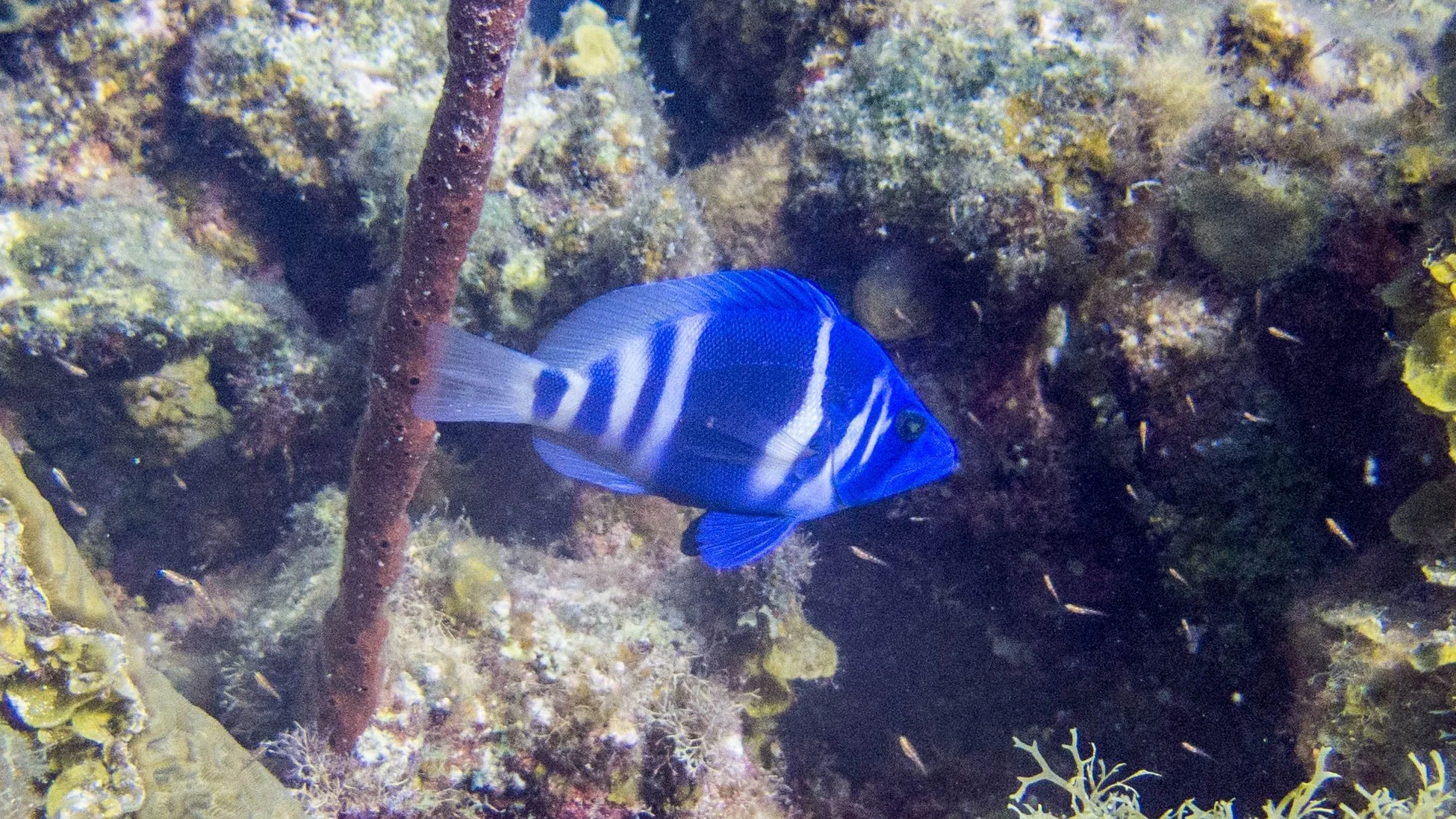 IMG_4565LR.jpg