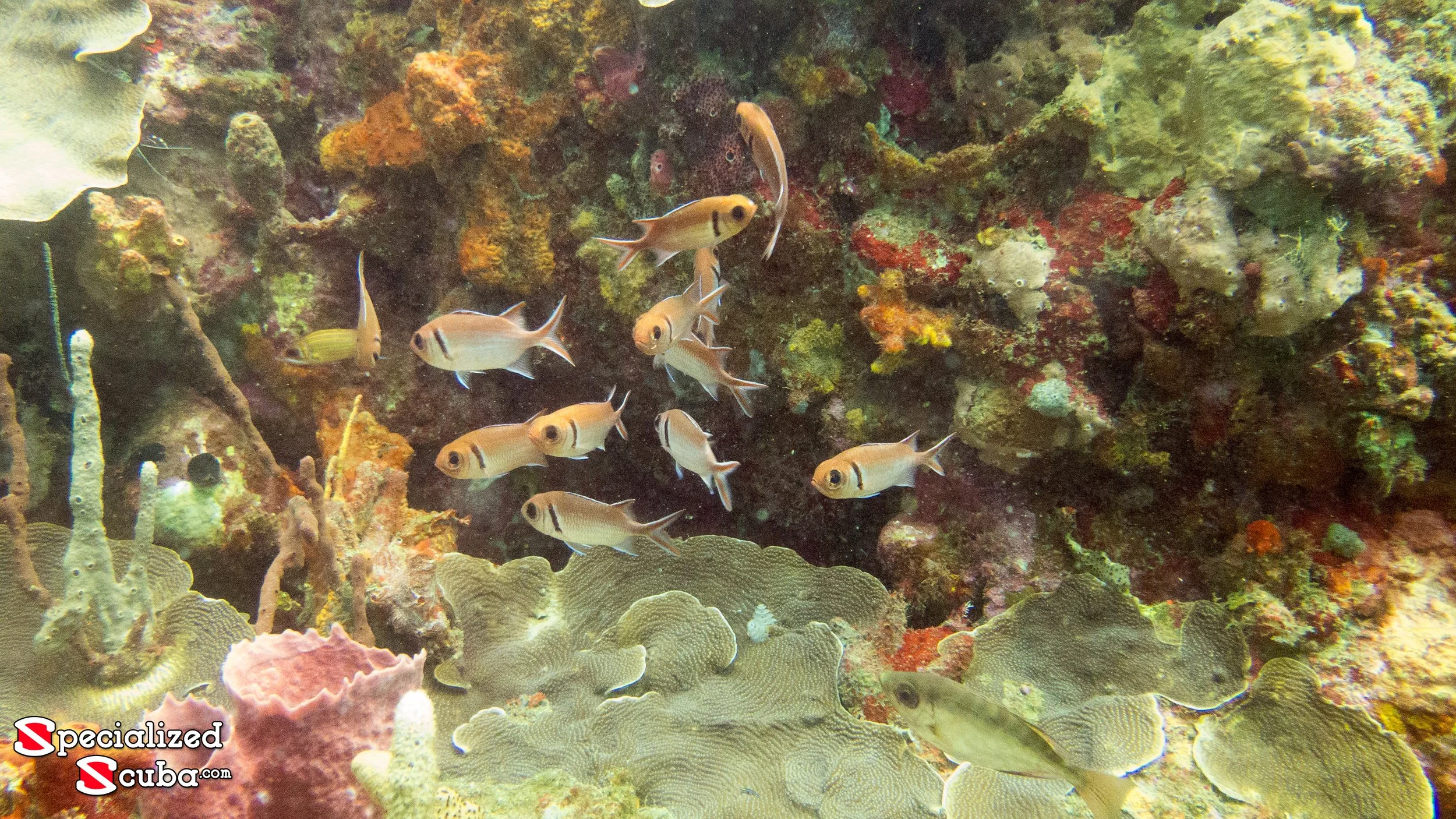 20150625-IMG_0228.jpg
