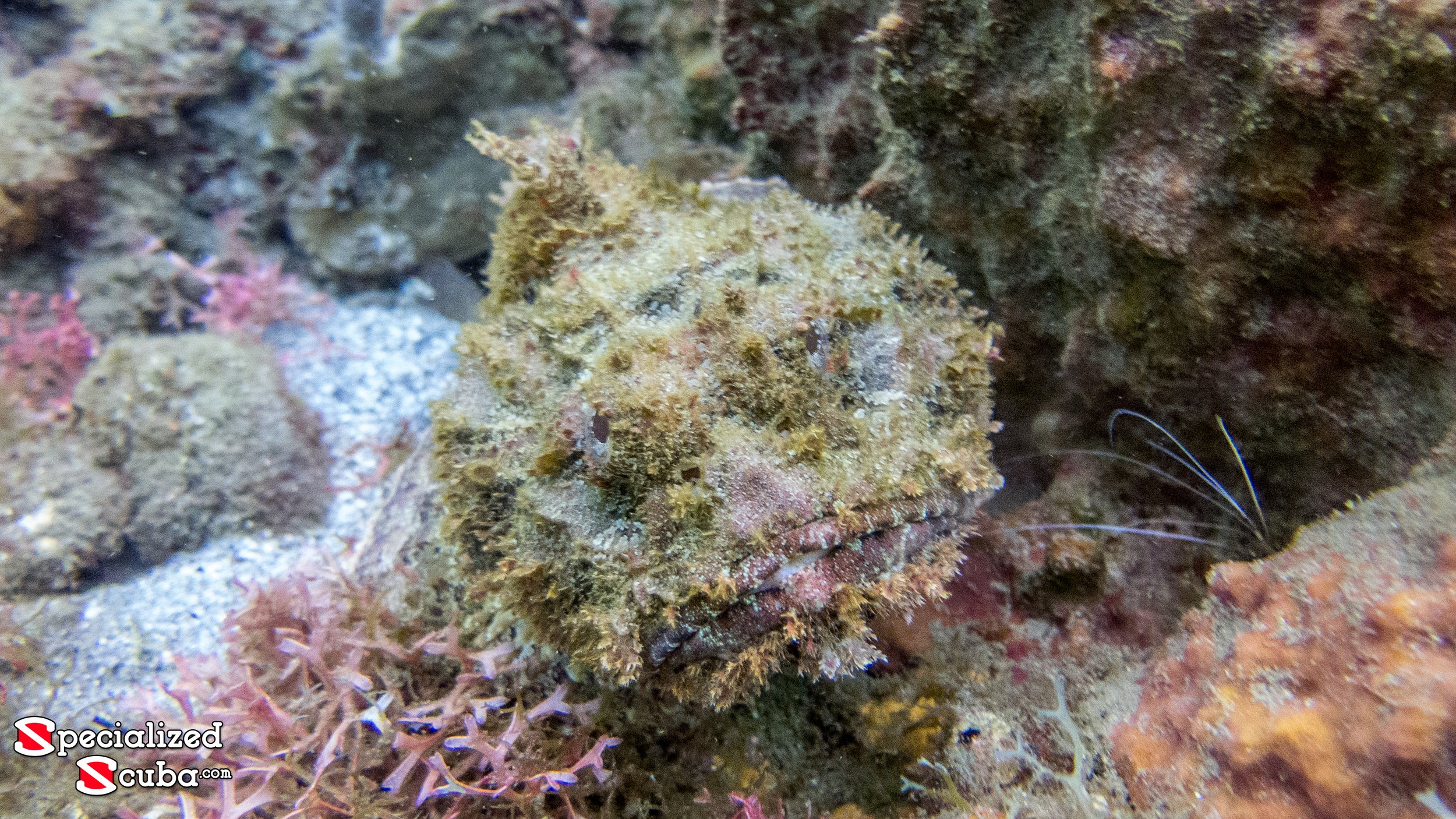 20150625-IMG_9999.jpg