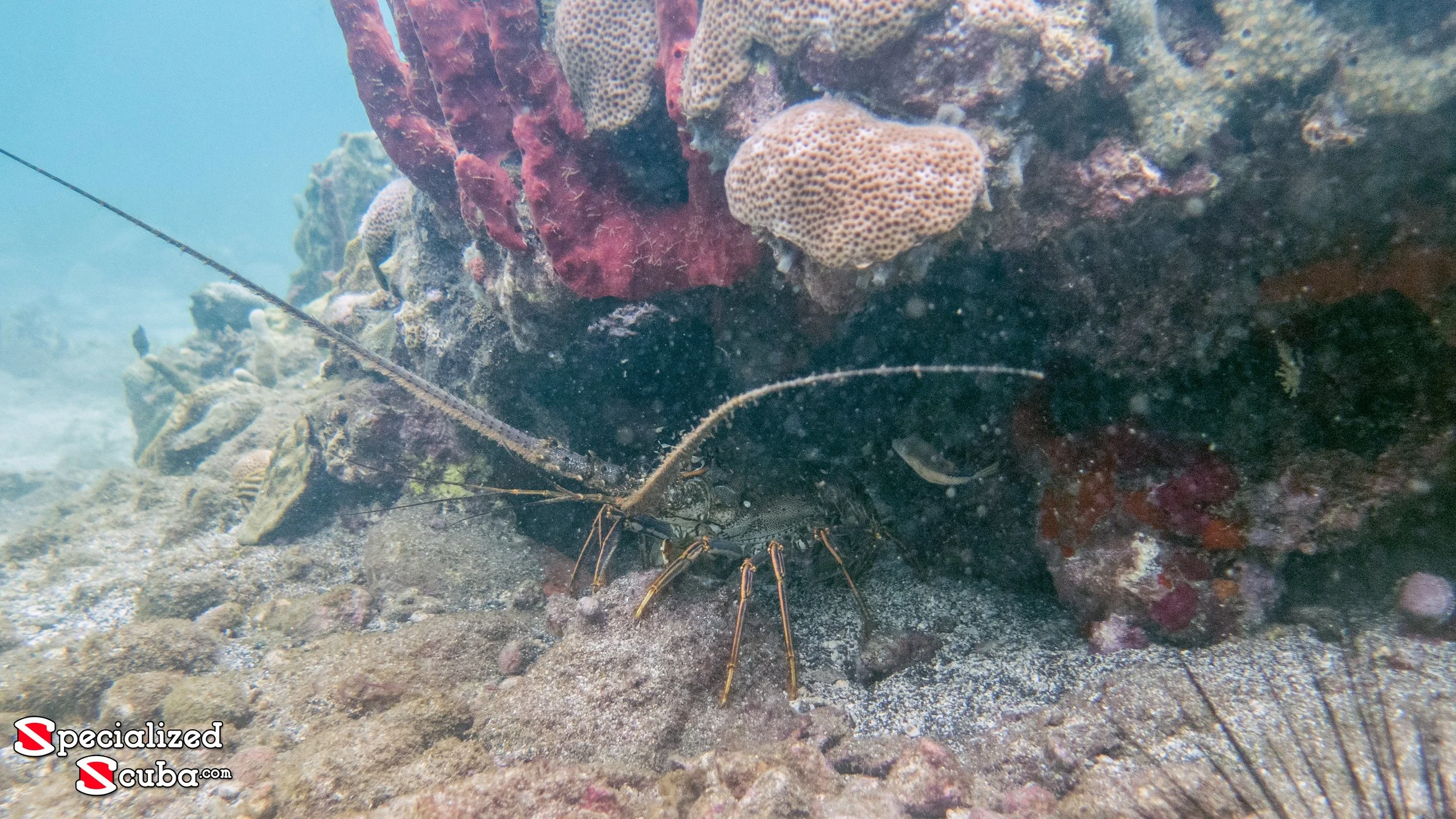 20150625-IMG_2298_LR.jpg