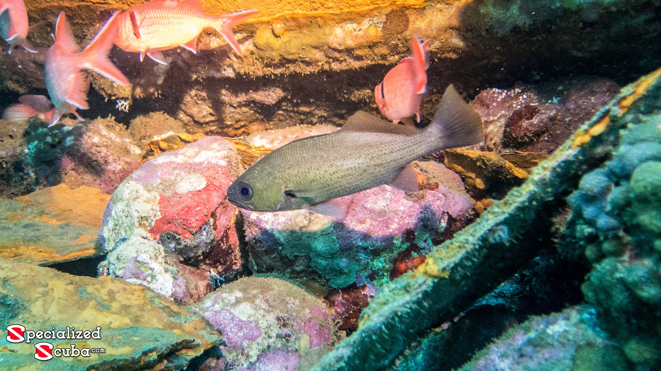 20150625-IMG_0287.jpg