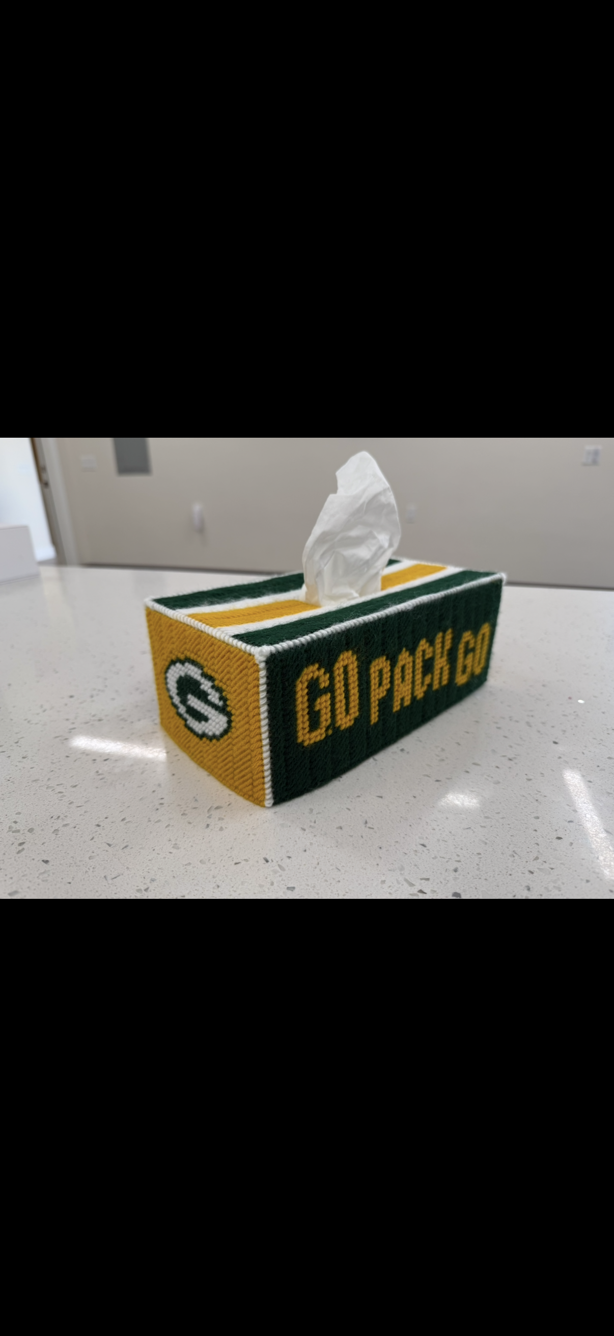 Green Bay Packer Team Spirit Tissue Box Cover