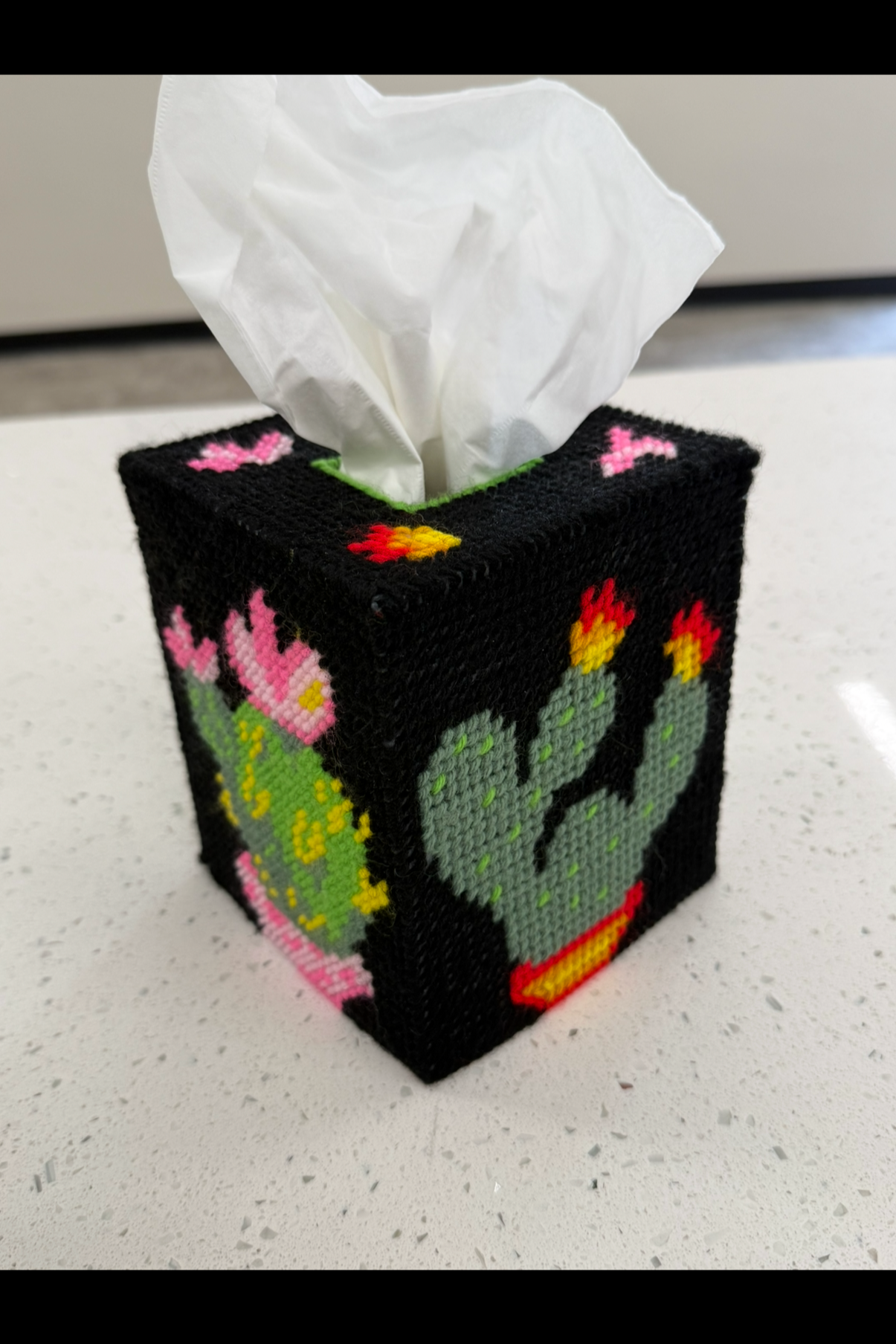 Cactus TIssue Box