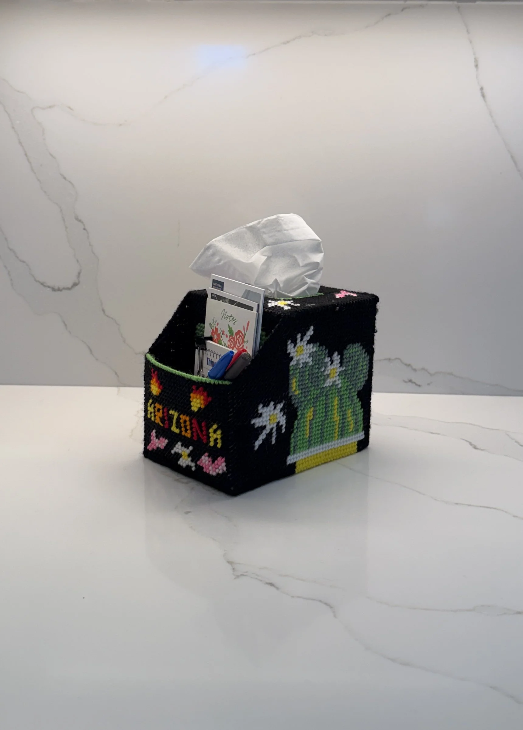 Cactus Design Tissue Box Cover & Organizer