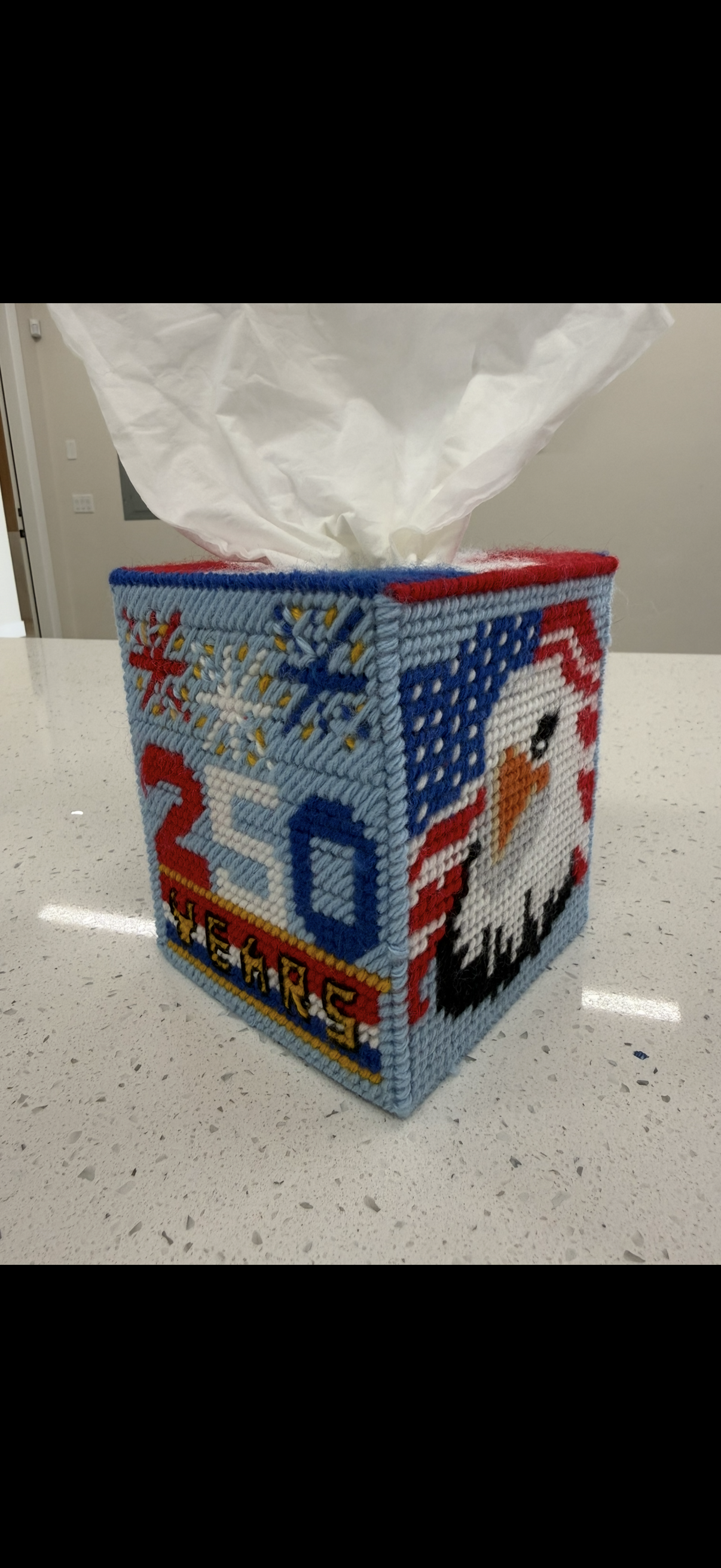 Patriotic 250th Anniversary Tissue Box Cover