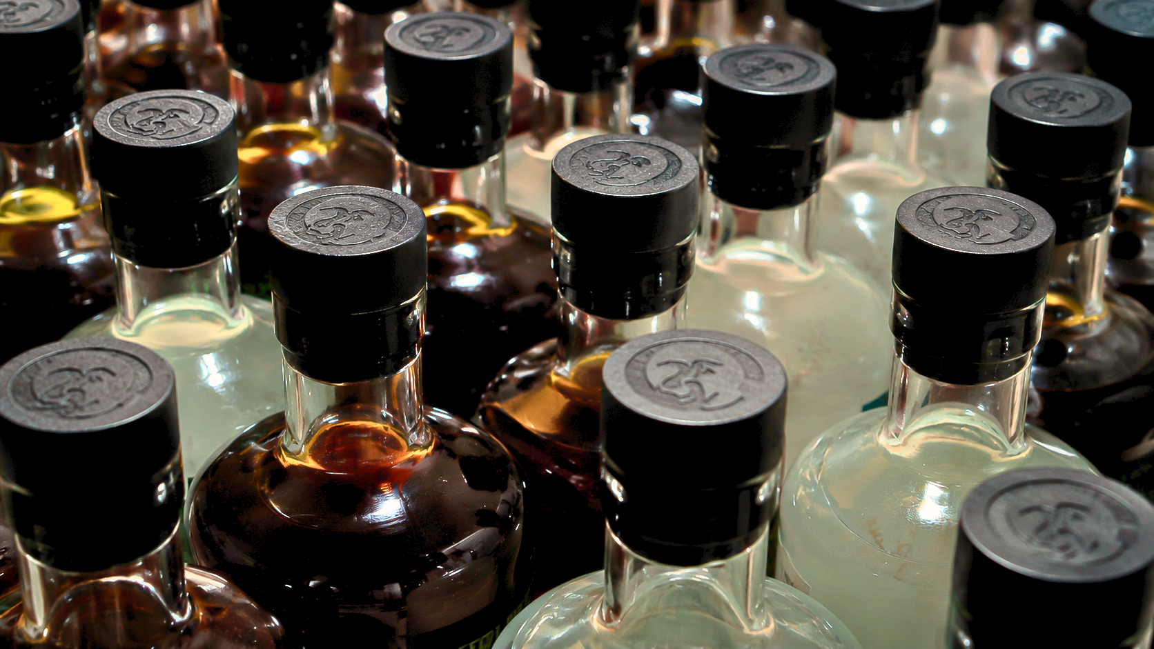 Close-up of multiple bottles with black caps, filled with various colored liquids, arranged closely together.