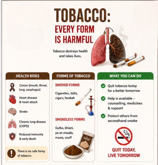 Educational poster about tobacco and its health risks, forms, and quitting tips, featuring images of lungs, cigarettes, and a tobacco pouch.