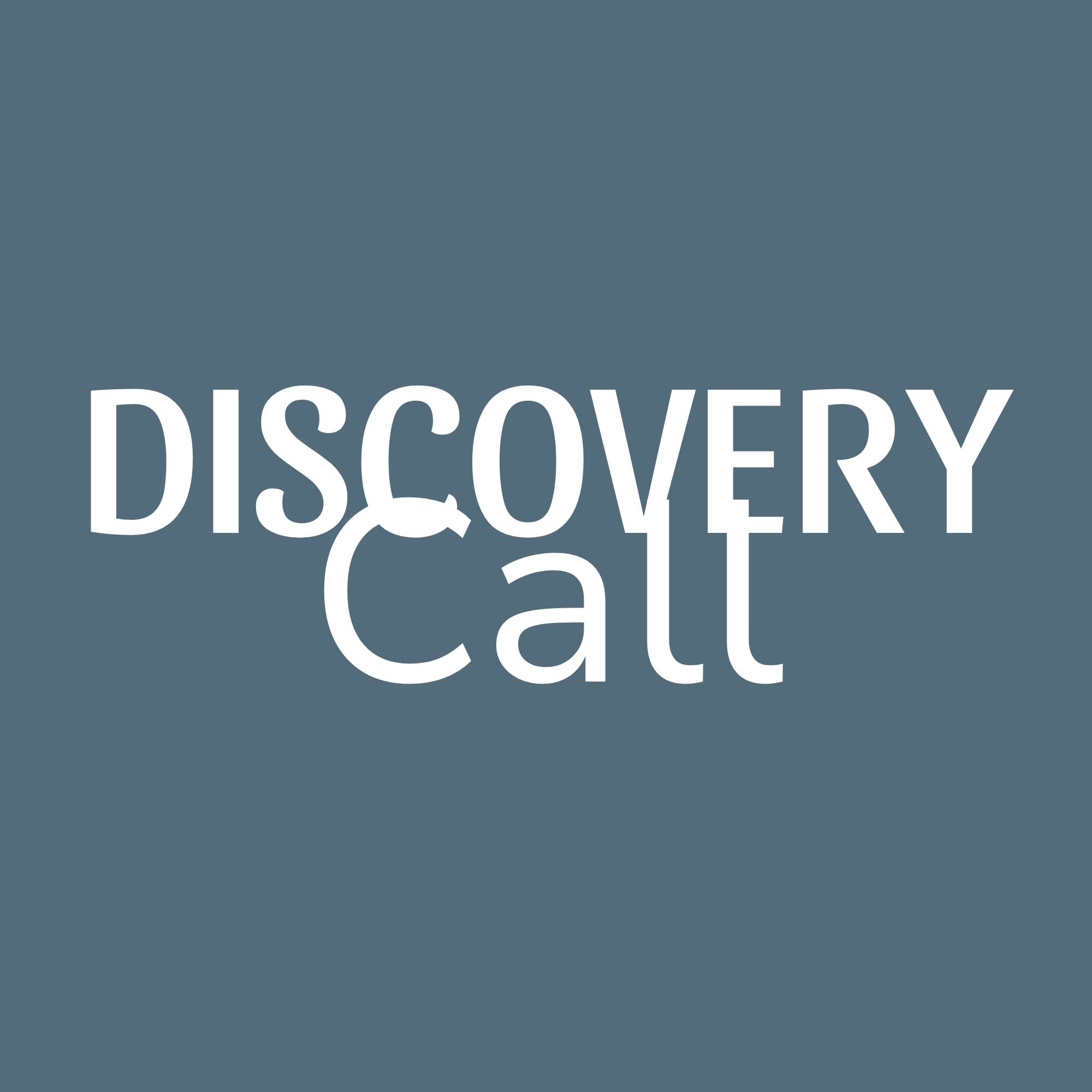 Discovery Call (free)