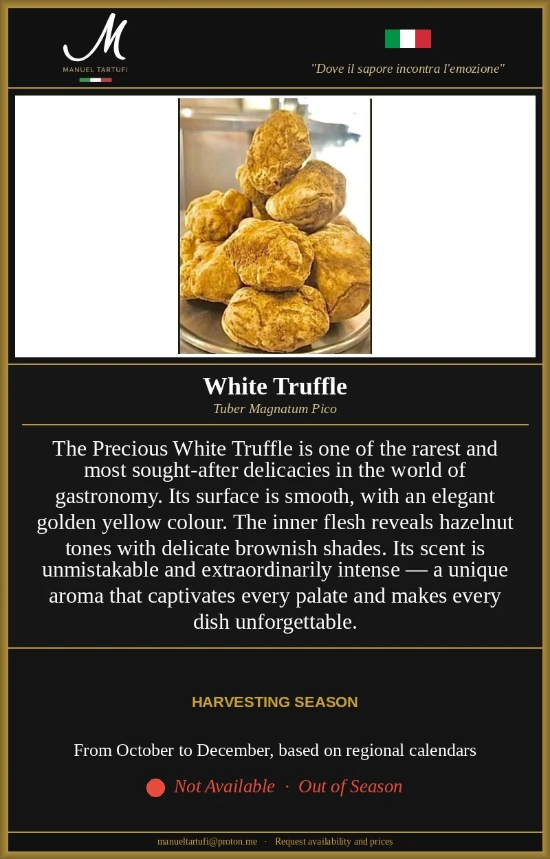 Manuel Tartufi - Fresh White Truffle Tuber Magnatum Pico - Product Card